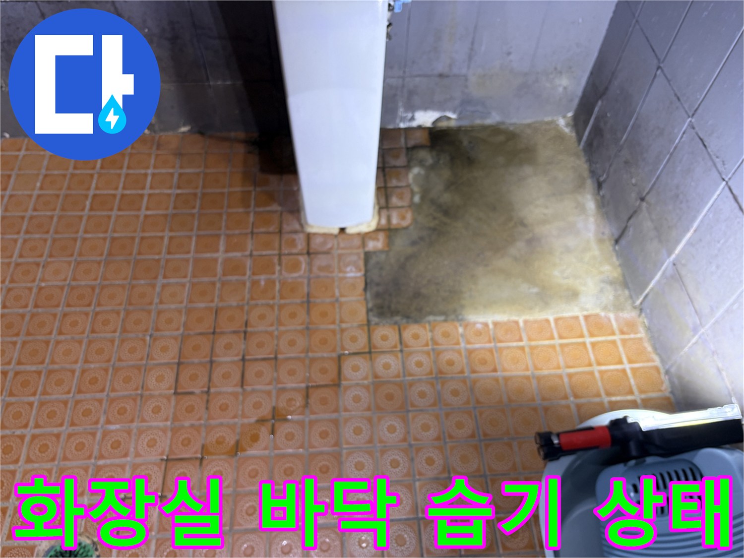 파주 문산 화장실-바닥 타일 사이 물고임 현상