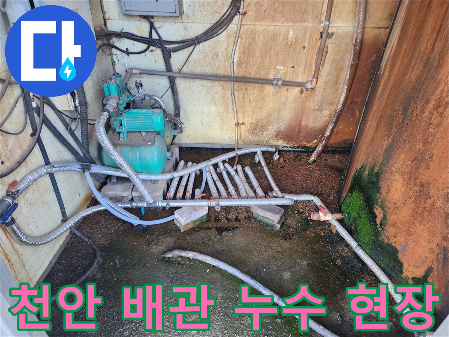 천안 성환읍-농가 배관 누수 지점 확인 현장