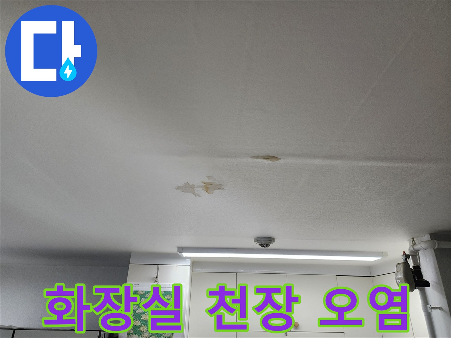 천장-패널의-젖은-듯한-얼룩과-누수-흔적