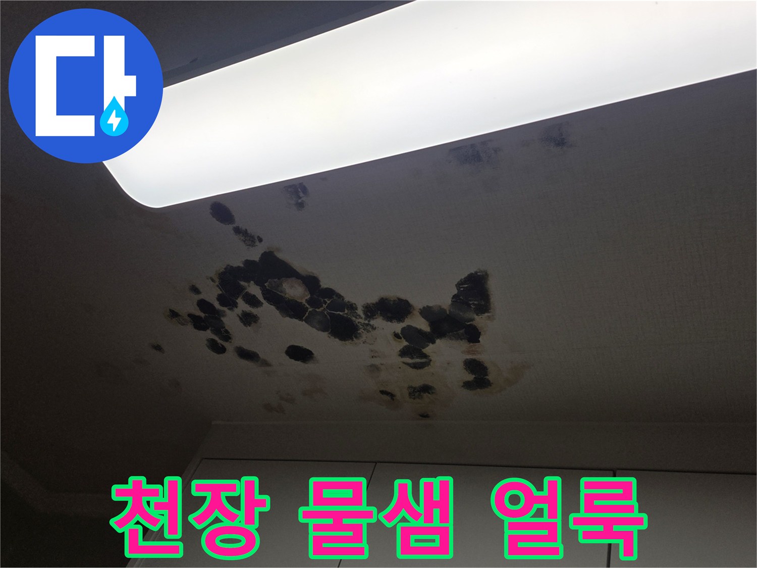 아래층-천장에-발생한-검은색-곰팡이와-물자국