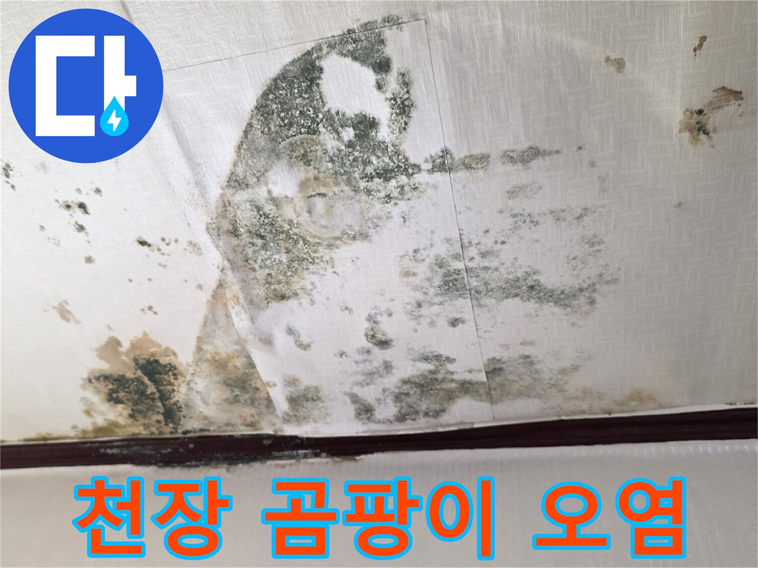 검게 변한 천장 곰팡이와 물에 젖은 벽지 흔적