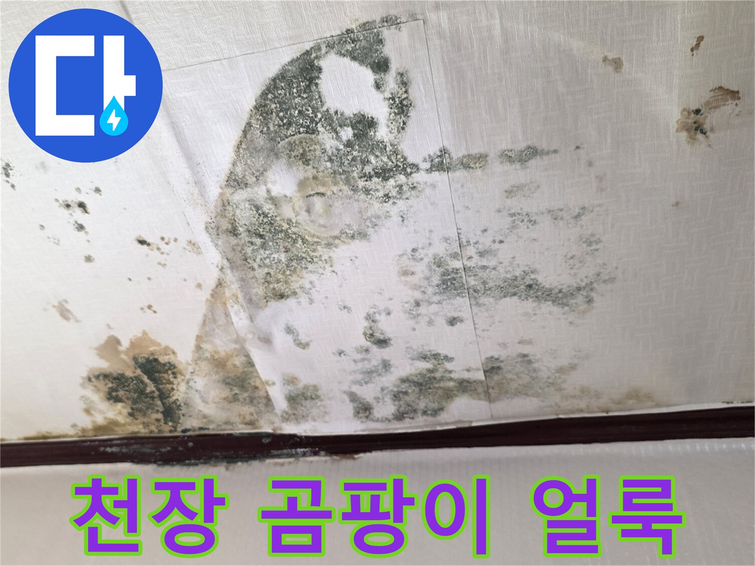 천장-벽지-젖음-및-검은-곰팡이-발생-상태