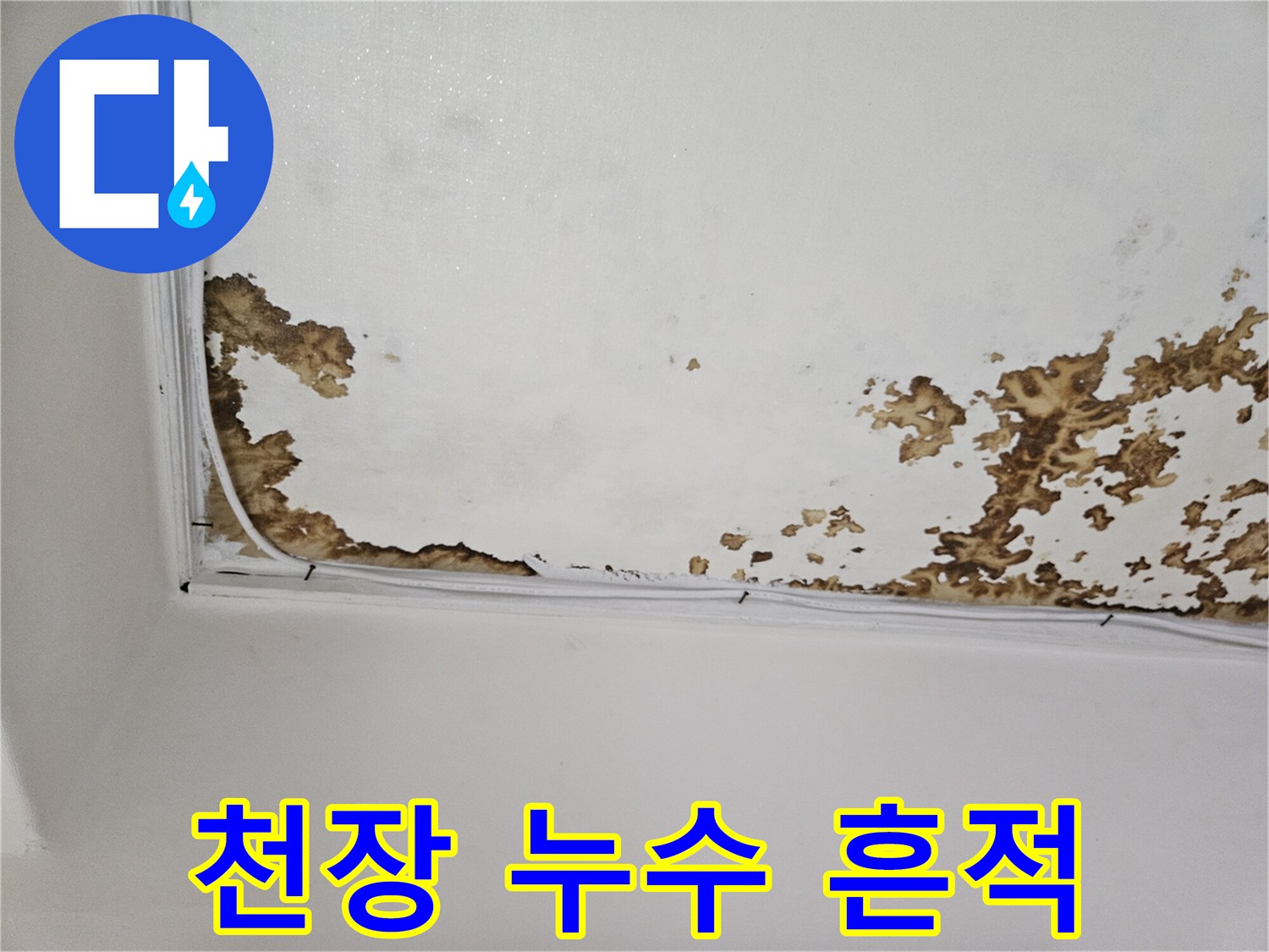 천장 벽지 얼룩-누수로 인한 변색 부위