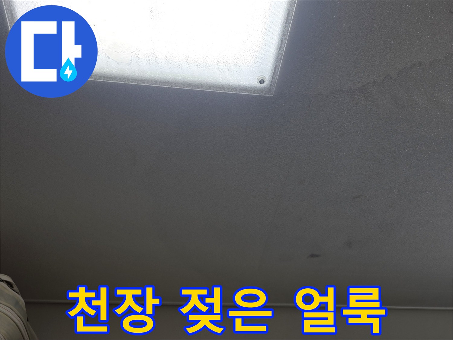 천장 조명 하단에 집중된 물자국과 변색 흔적