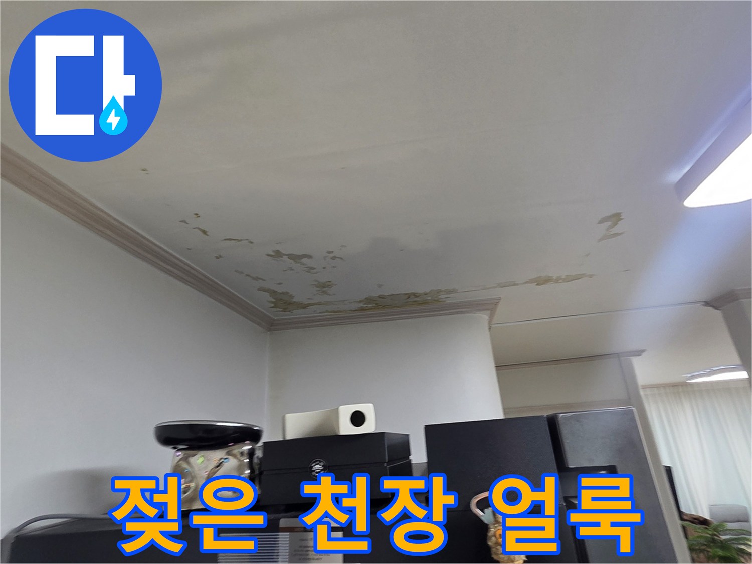 물샘-증상이-발생한-세탁실-천장-면적
