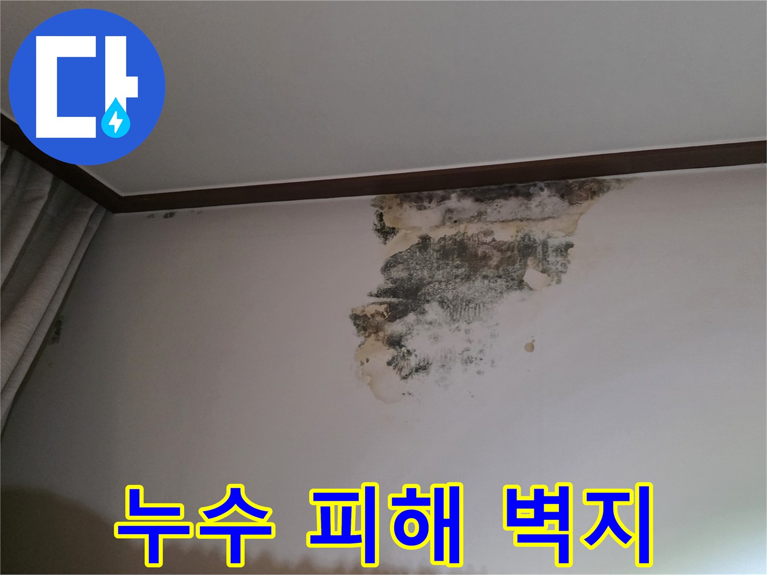물샘으로 인해 검게 변한 거실 천장 벽지 모습