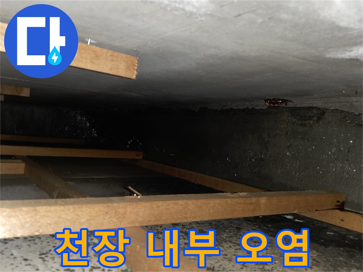 습기로 인한 천장 콘크리트의 변색 부위