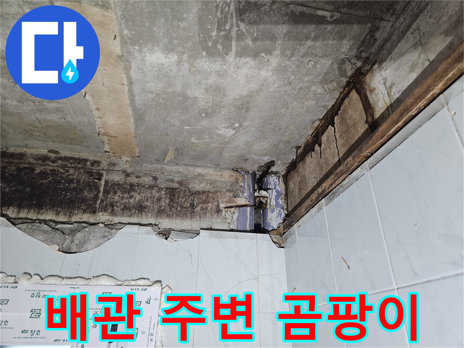천장-배관-주변의-심각한-곰팡이와-습기-오염