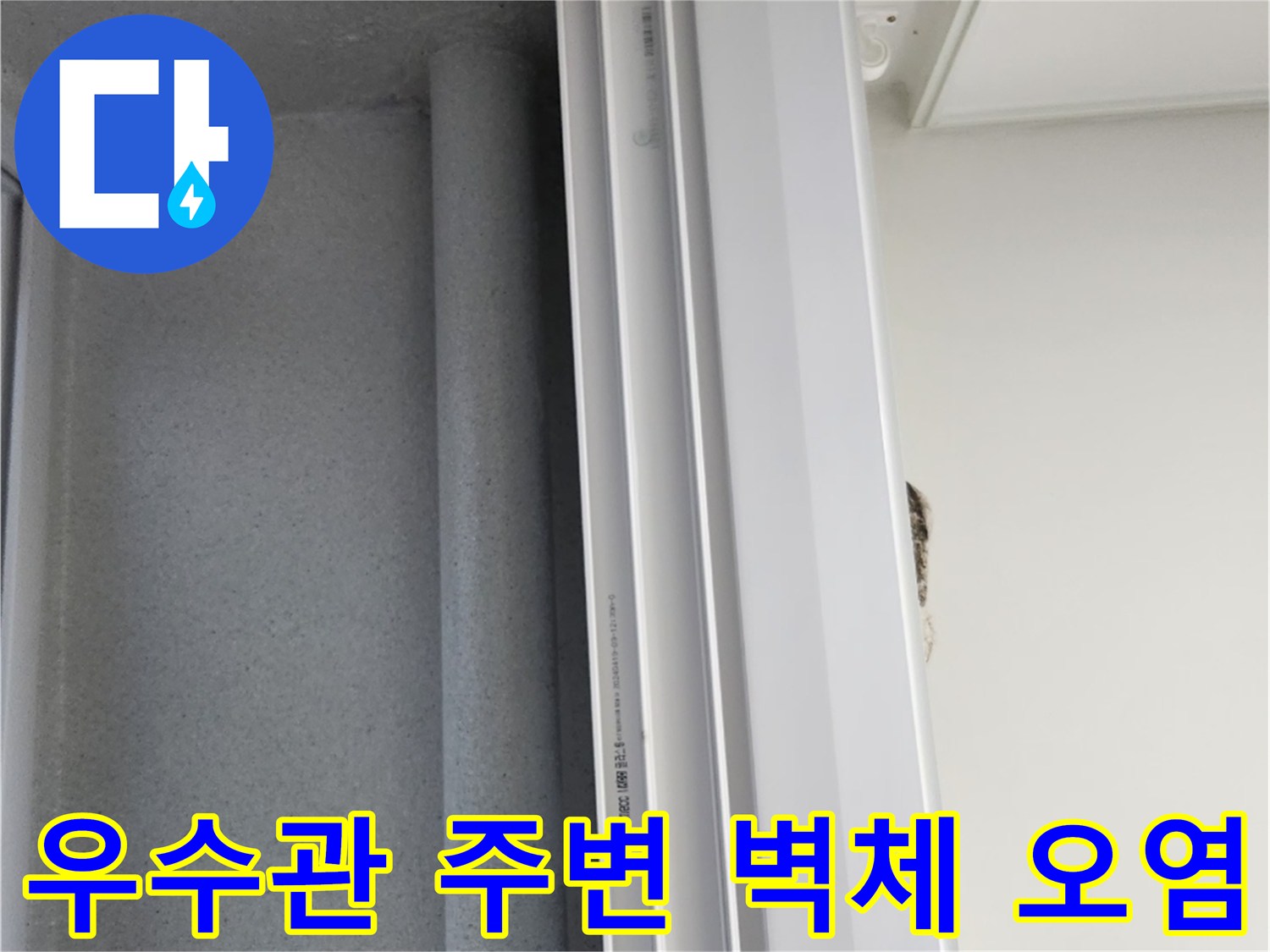 배관-주변-벽체의-습기-침투-확인