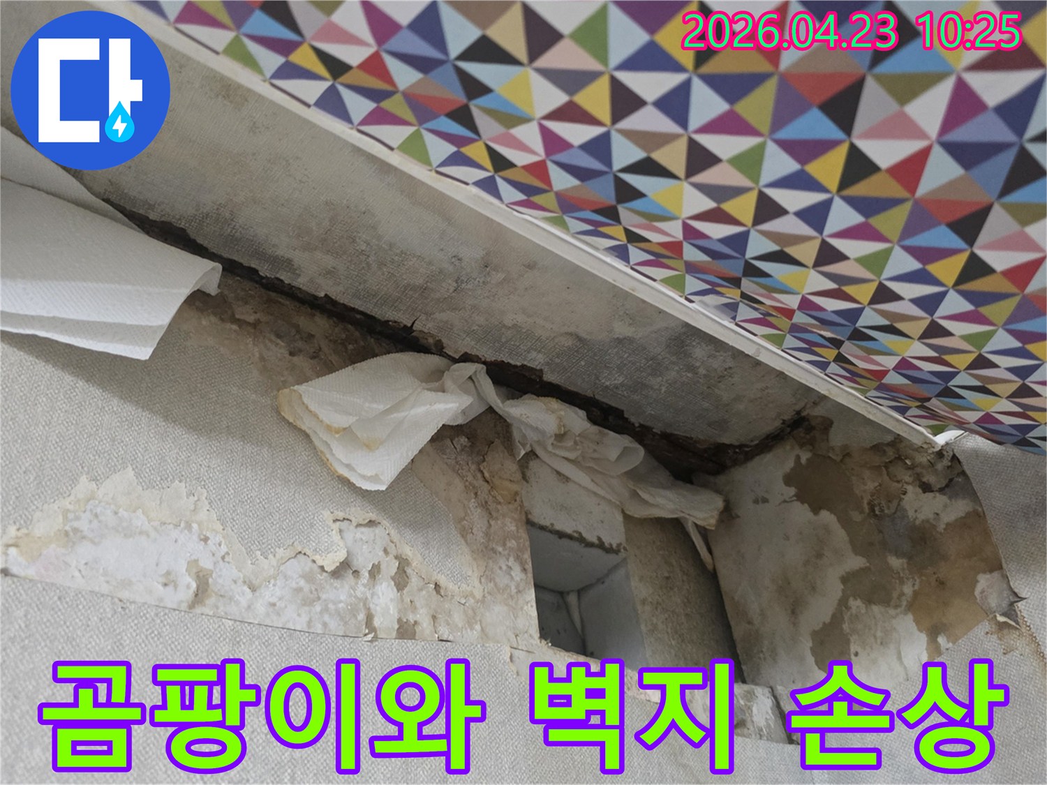 벽지에-피어난-곰팡이와-함께-벽지가-찢어지고-손상된-누수-현장의-클로즈업-사진입니다.
