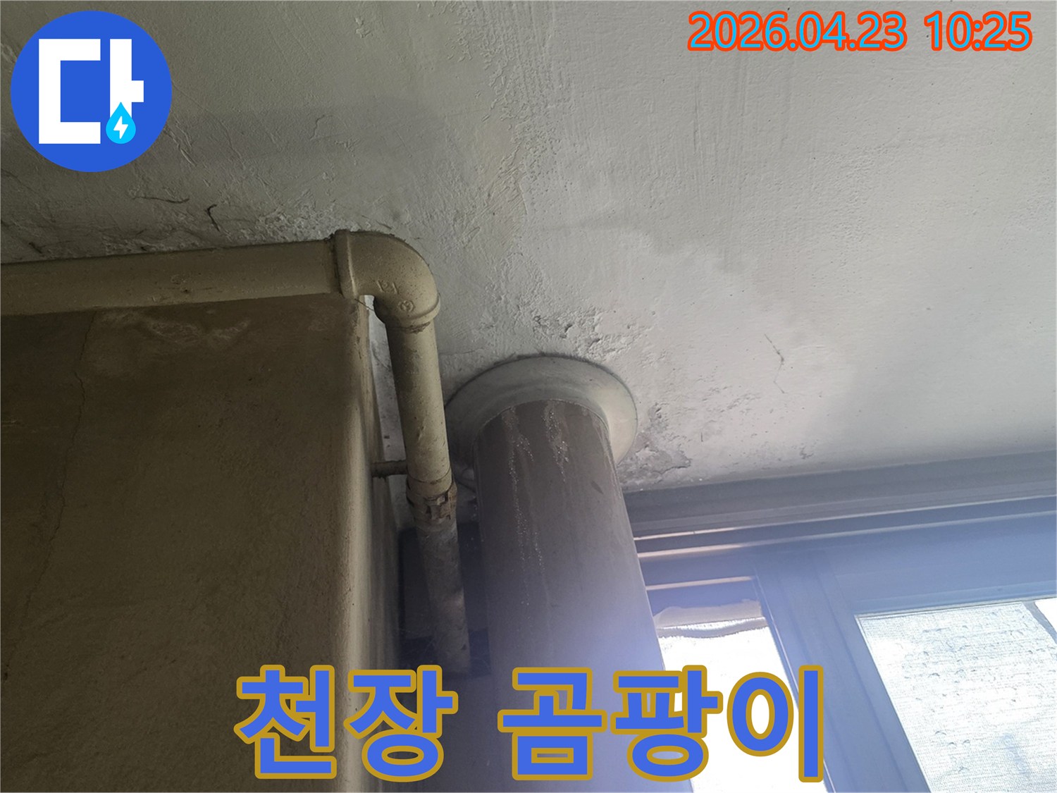 천장-곰팡이-발생-물자국-배관-주변-습기