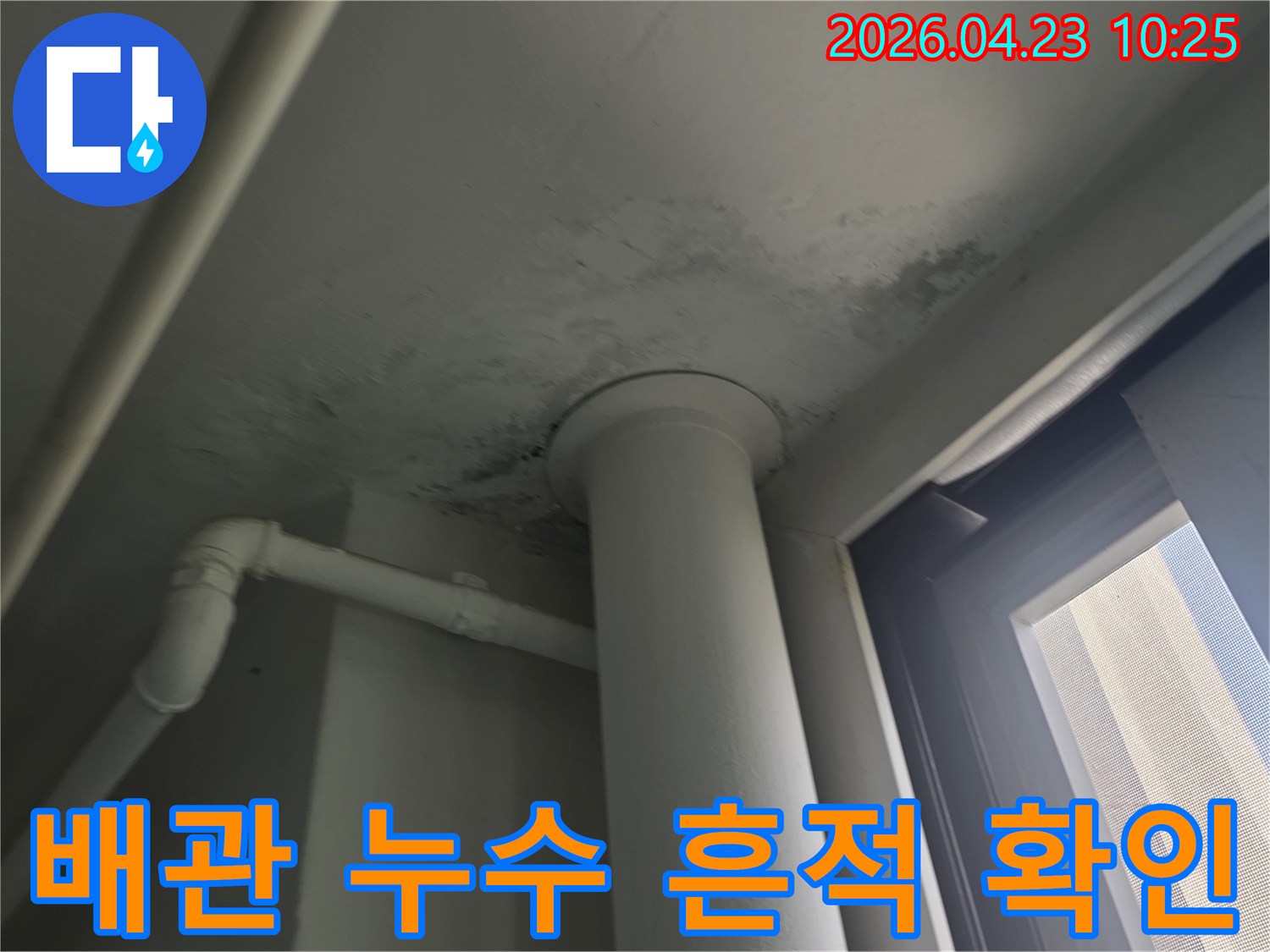 천장 배관 주변에 나타난 누수-징후와 곰팡이-오염