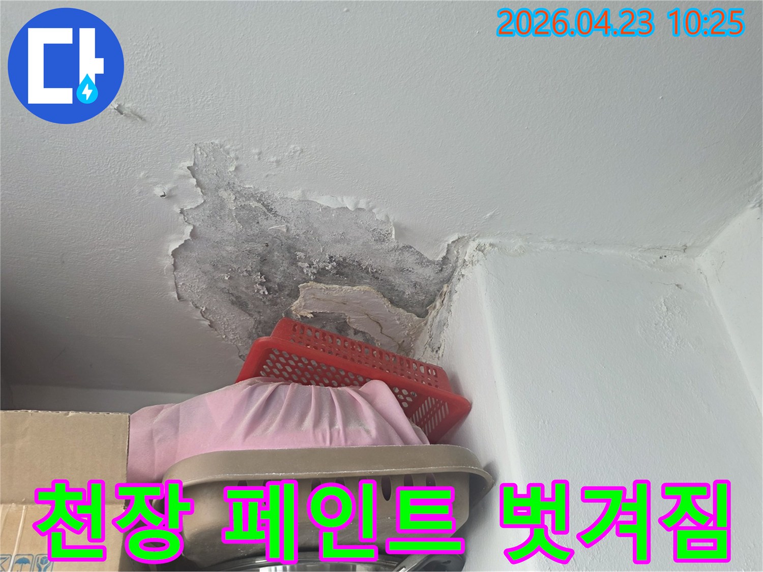 천장에서 물이 새어-페인트가 벗겨지고-벽지가 손상된 모습