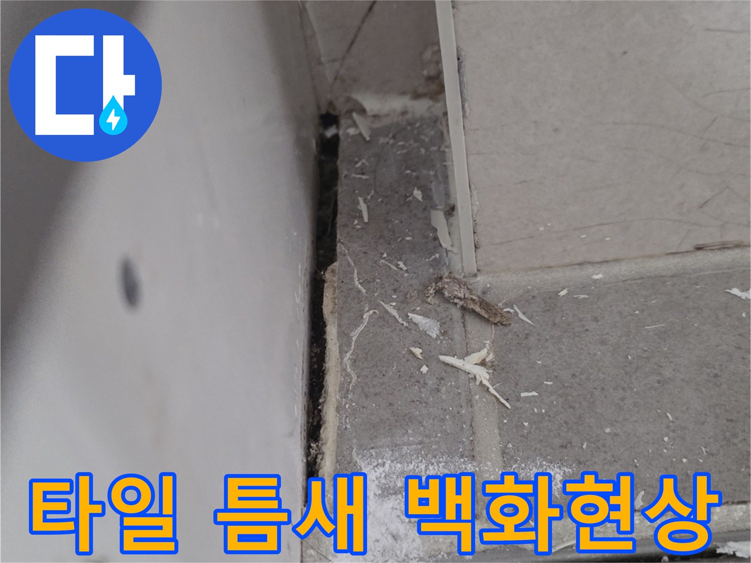 배수구 옆 타일 사이의 하얀 백화 현상과 균열