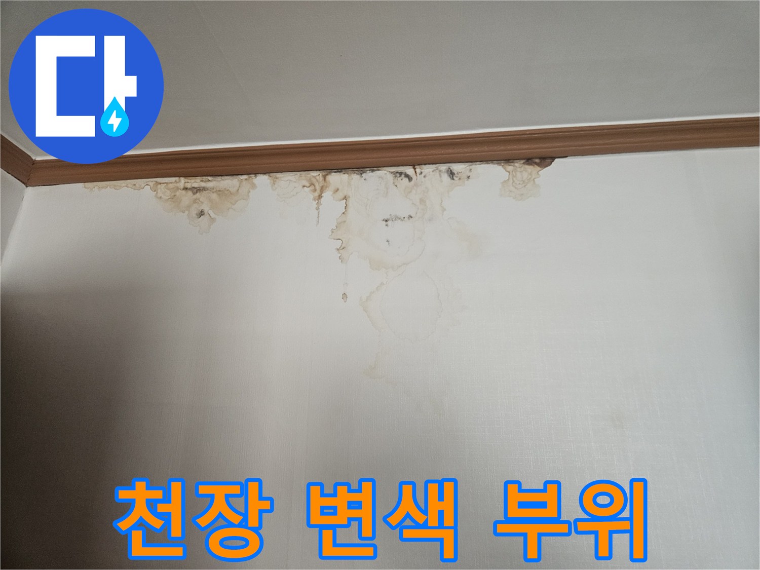 습기에-젖은-천장-벽지-표면