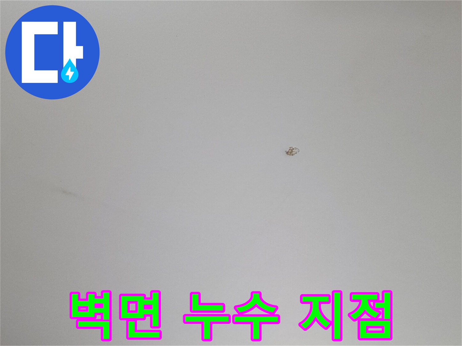 천장 도배지 부근의 작은 갈색 반점 형태의 얼룩