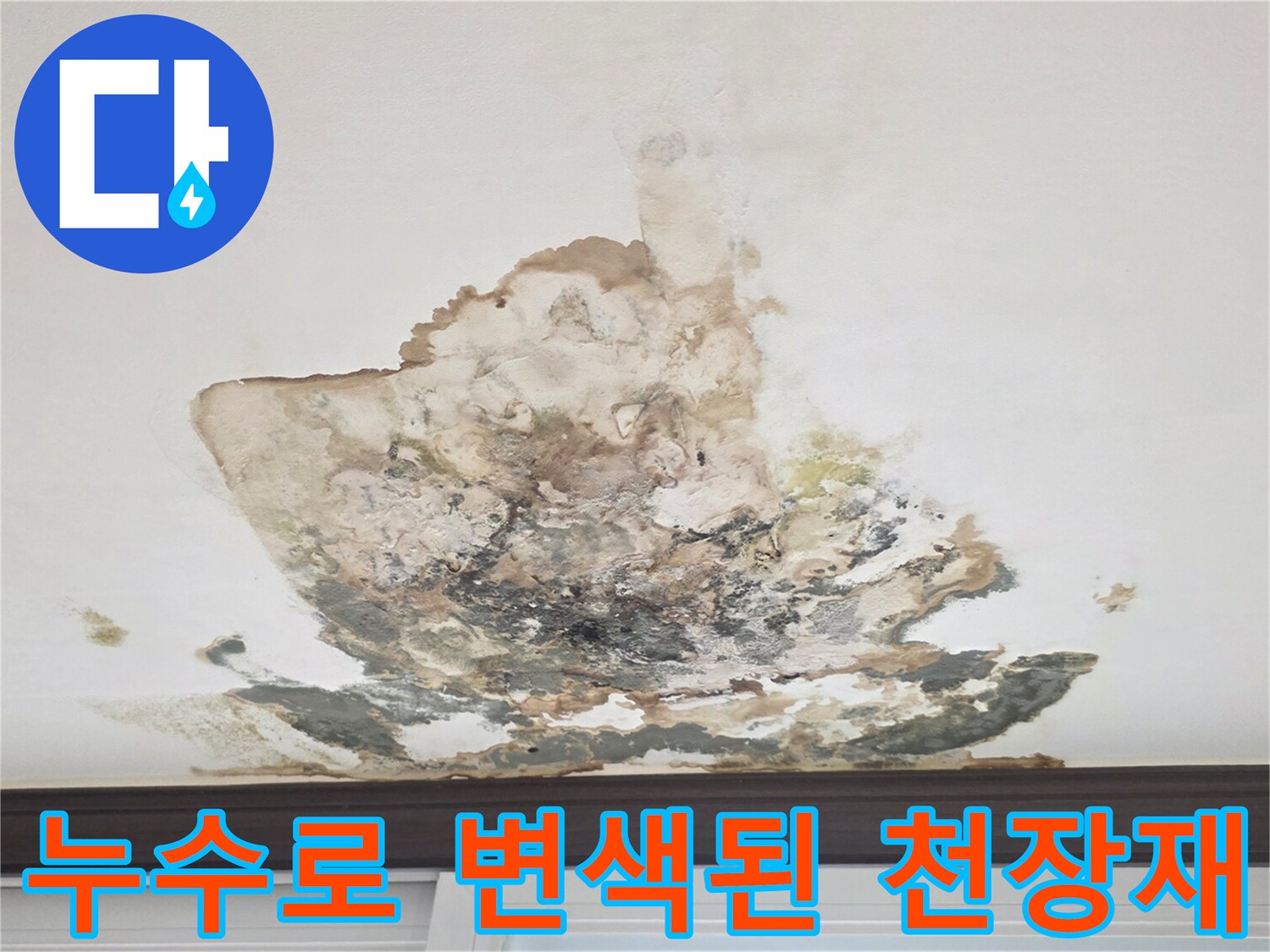 천장 마감재의 심한 변색과 습기로 인한 오염 상태