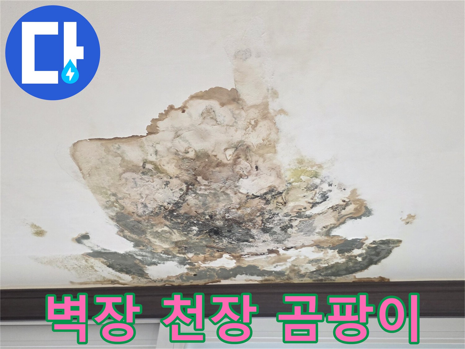 천장 부근-심하게 변색된 석고보드 표면