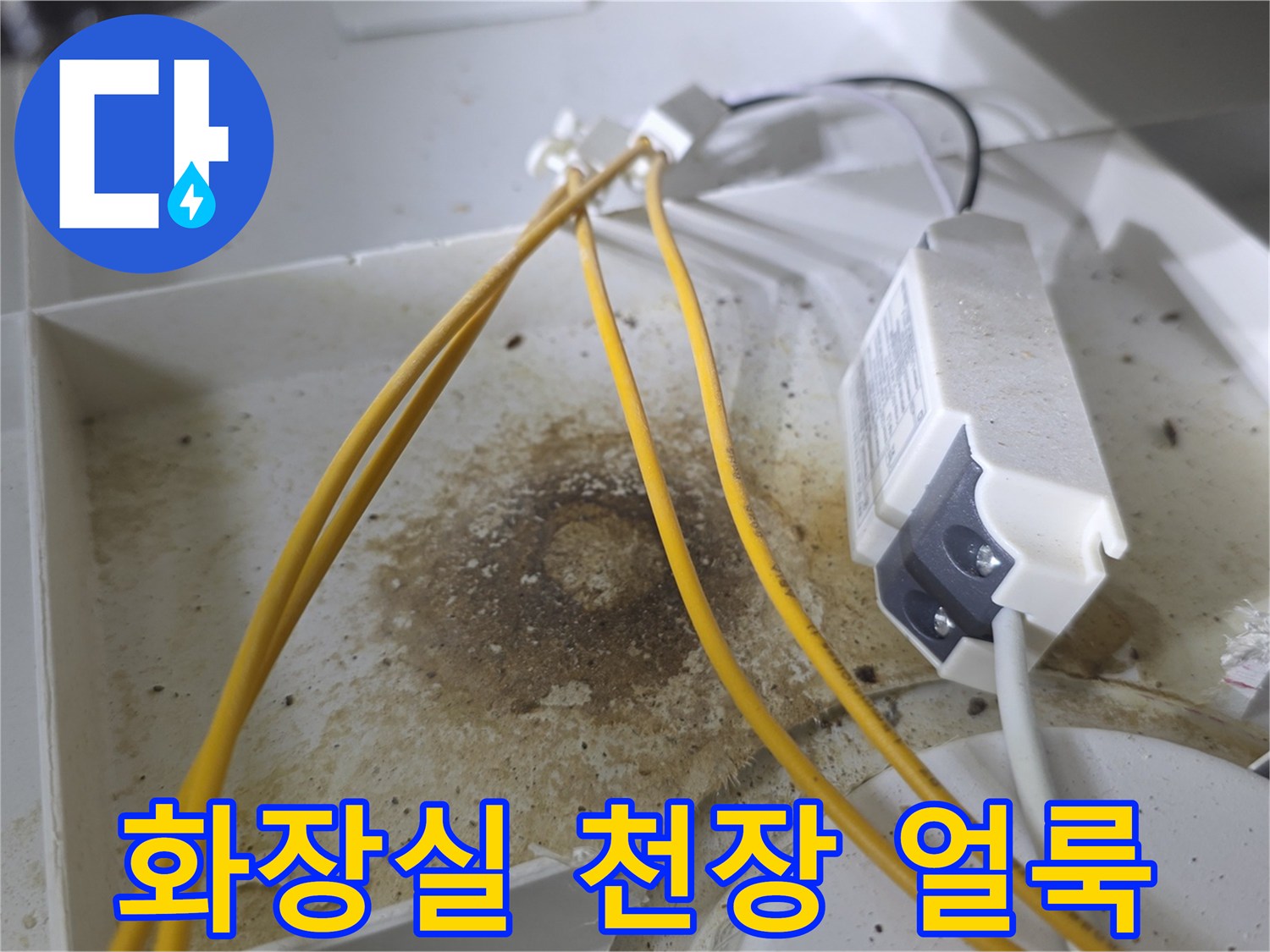배관-주변-천장-마감재의-심한-누수-오염-상태