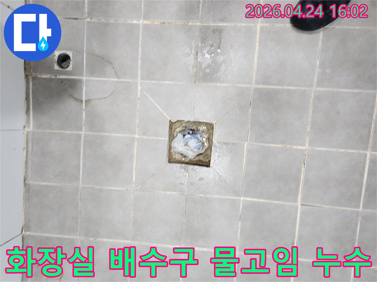 서대문구-주택-화장실-배수구-주변-물고임으로-인한-누수-현장-점검