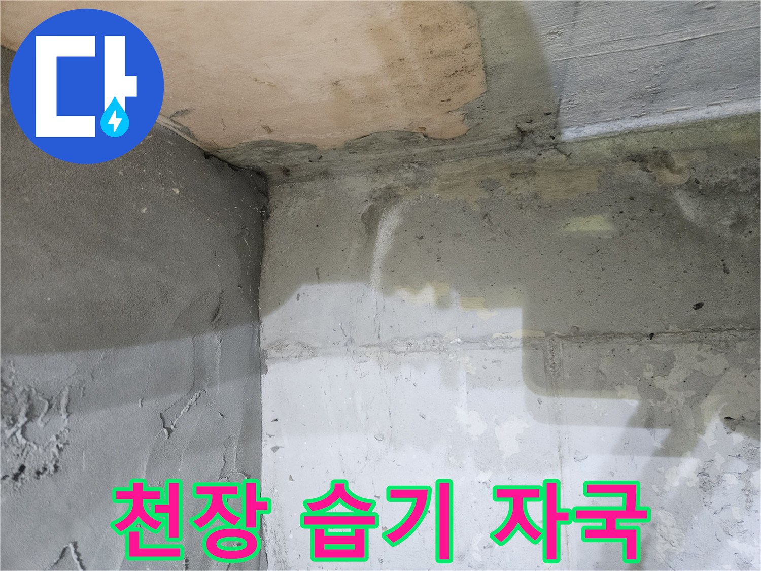 화장실 천장-물샘으로 인한 콘크리트 변색 부위