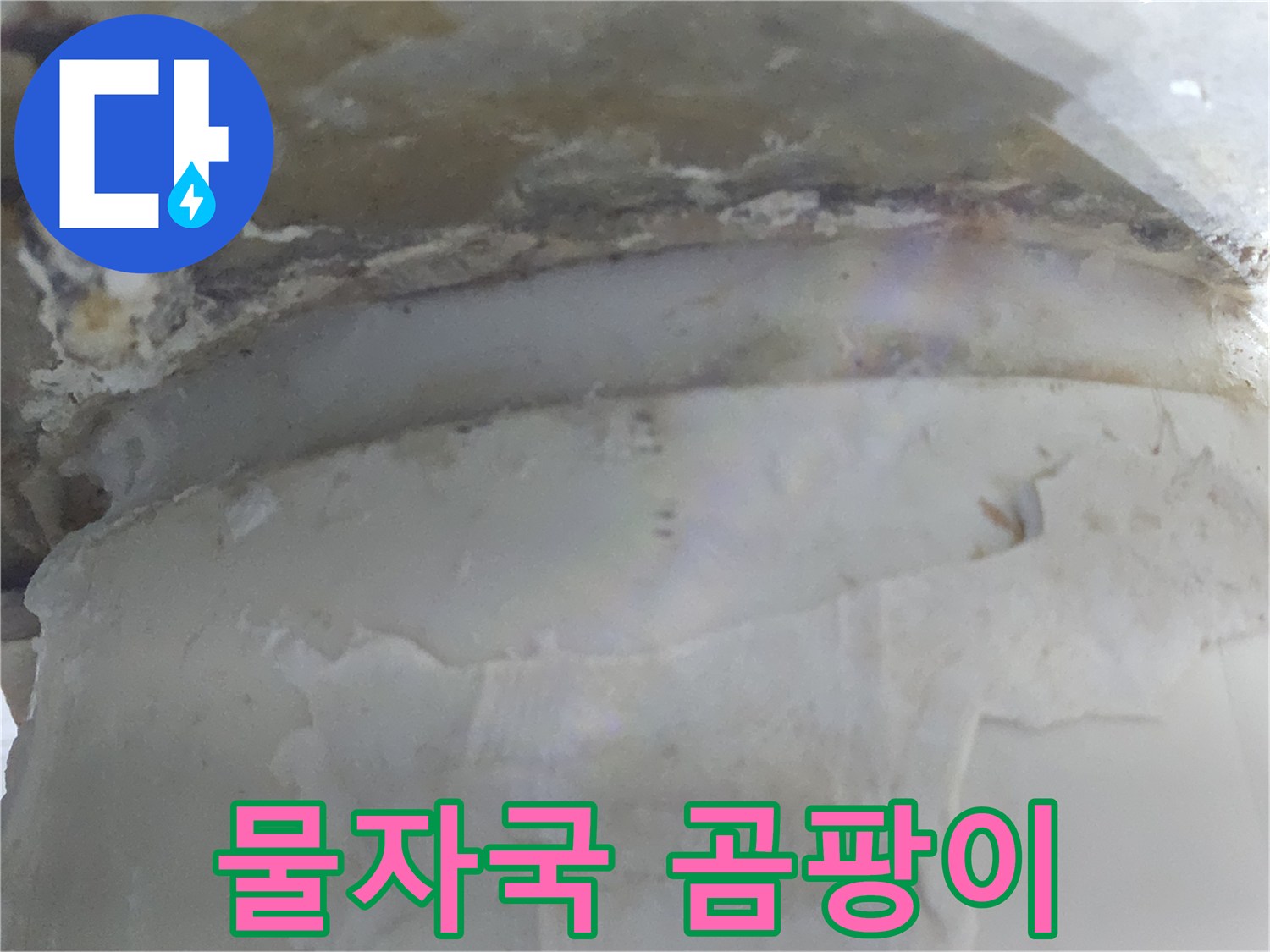 벽면에 물자국과 함께-곰팡이가 발생한-누수 현장 사진입니다