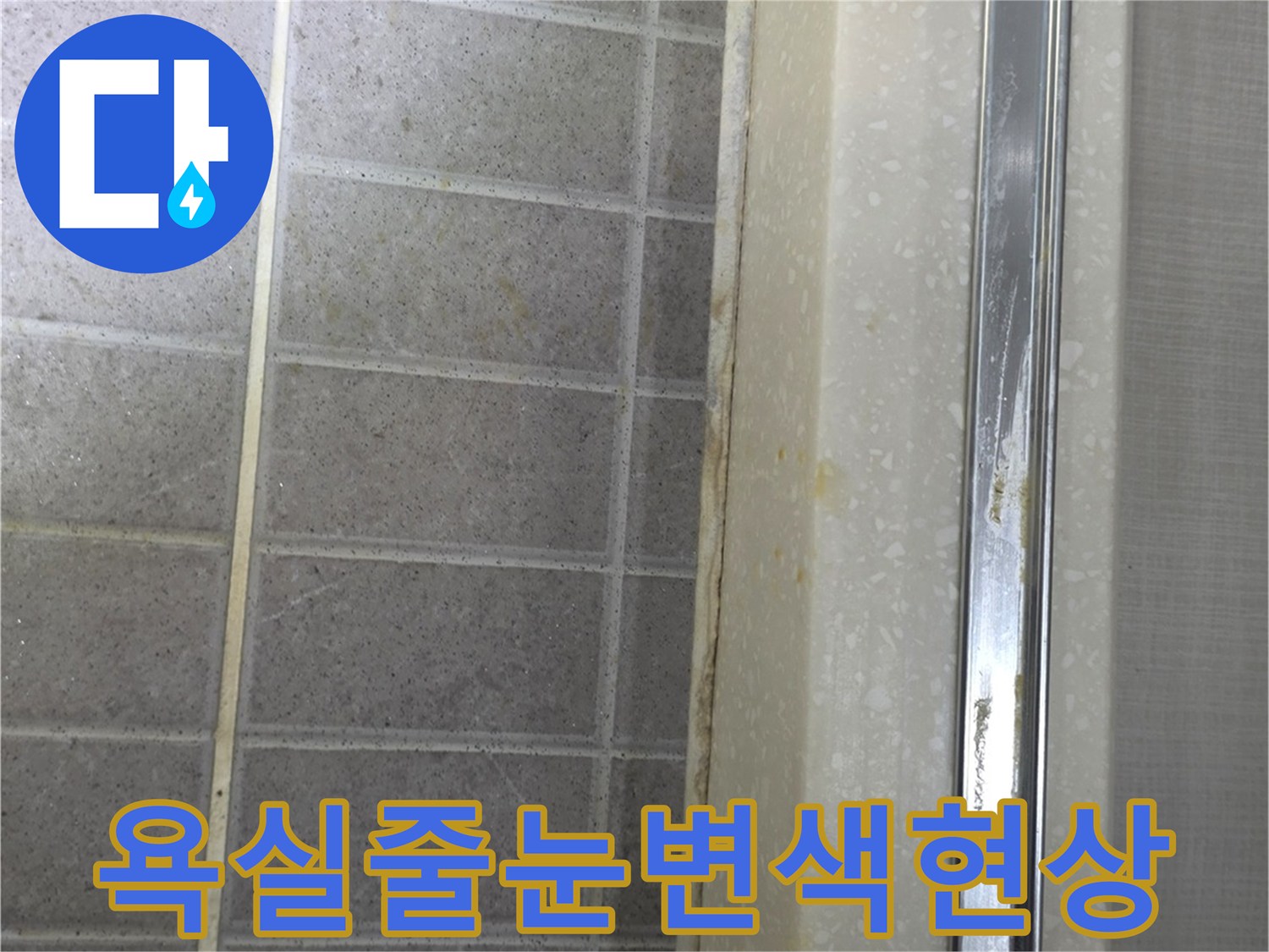 타일-경계면의-습윤한-오염-및-변색-상태