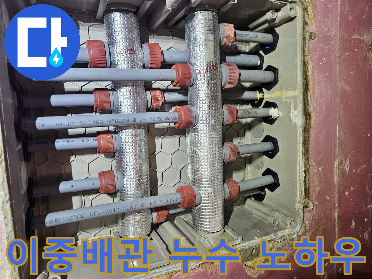 수도분배기-이중배관에서-발생한-누수를-해결하기-위해-전문가가-자신만의-노하우로-점검하고-있습니다