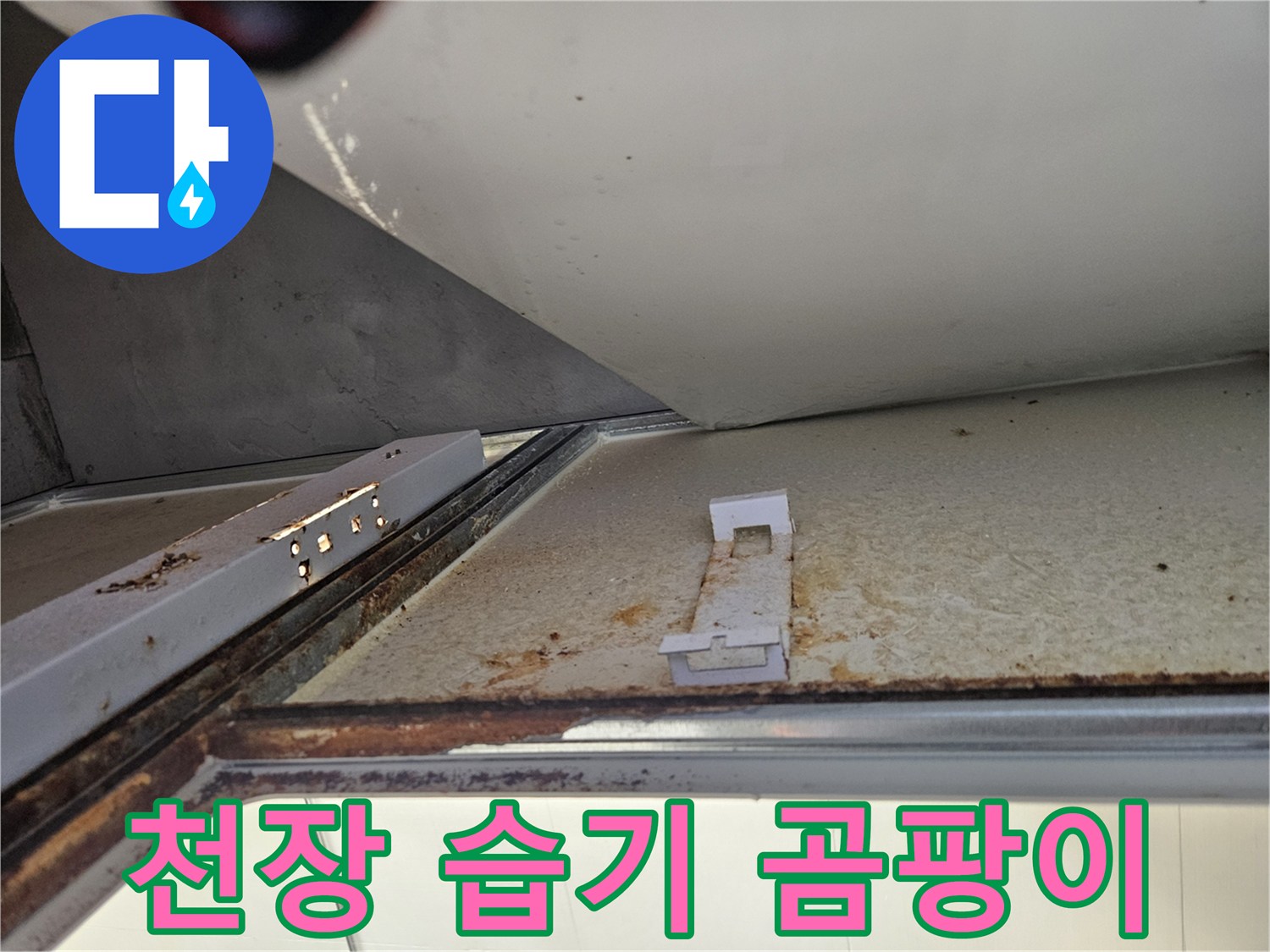 욕실 천장에서 누수로 인한 습기와 곰팡이 발생-건강에 해로운 환경 조성
