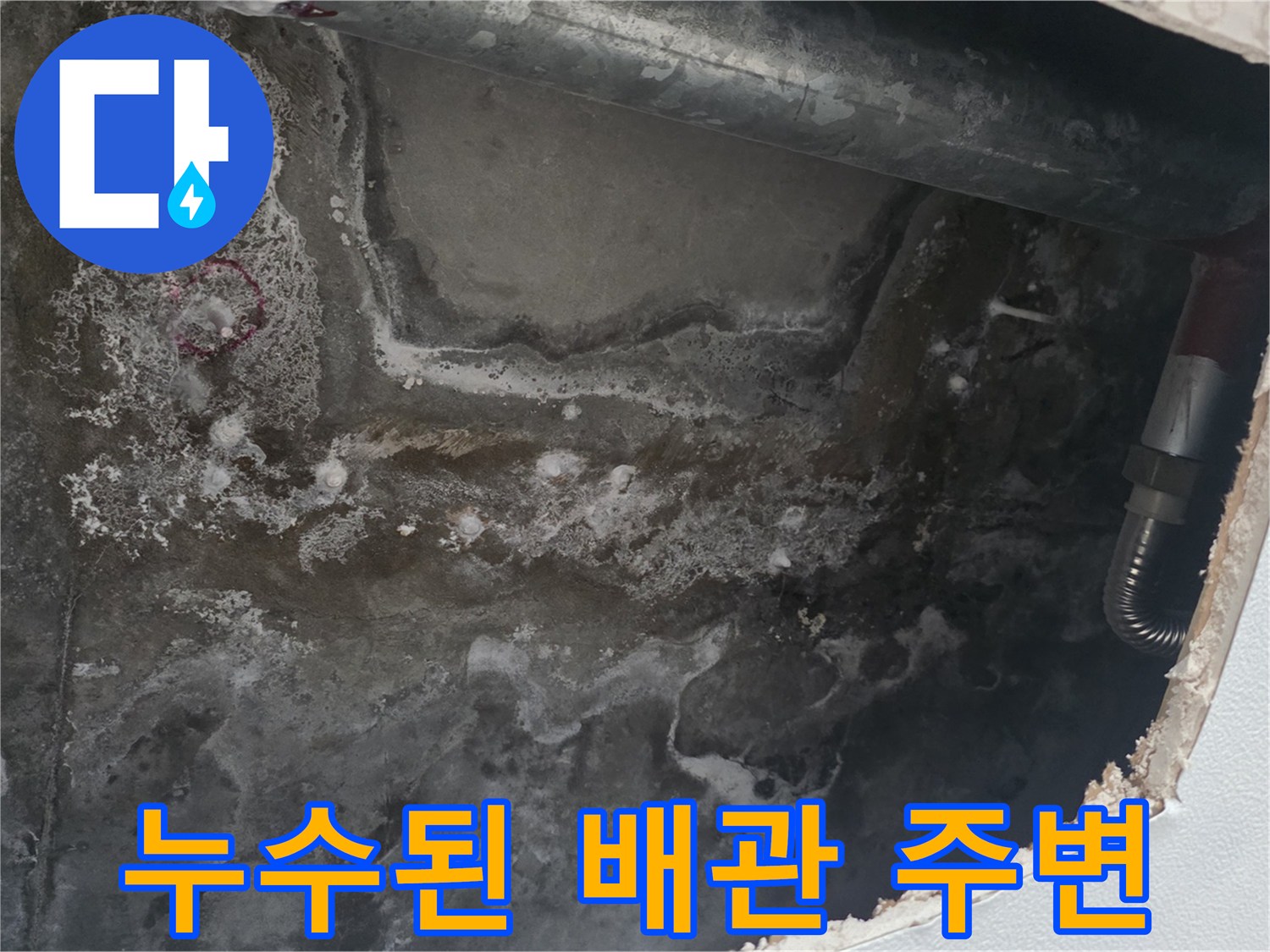 물에 젖어 오염된 천장 내부의 모습