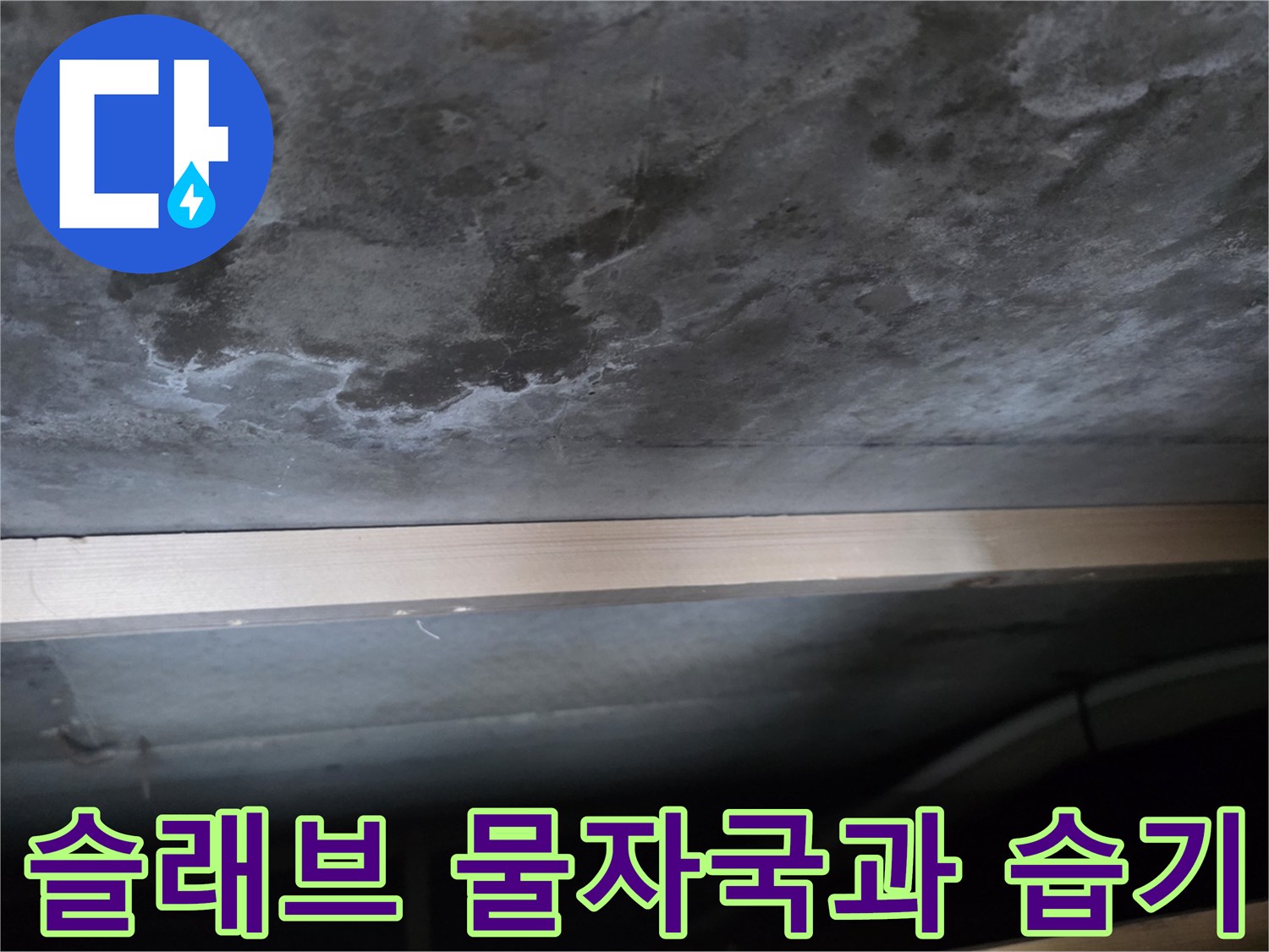 축축하게 젖은-천장 콘크리트 슬래브의 모습