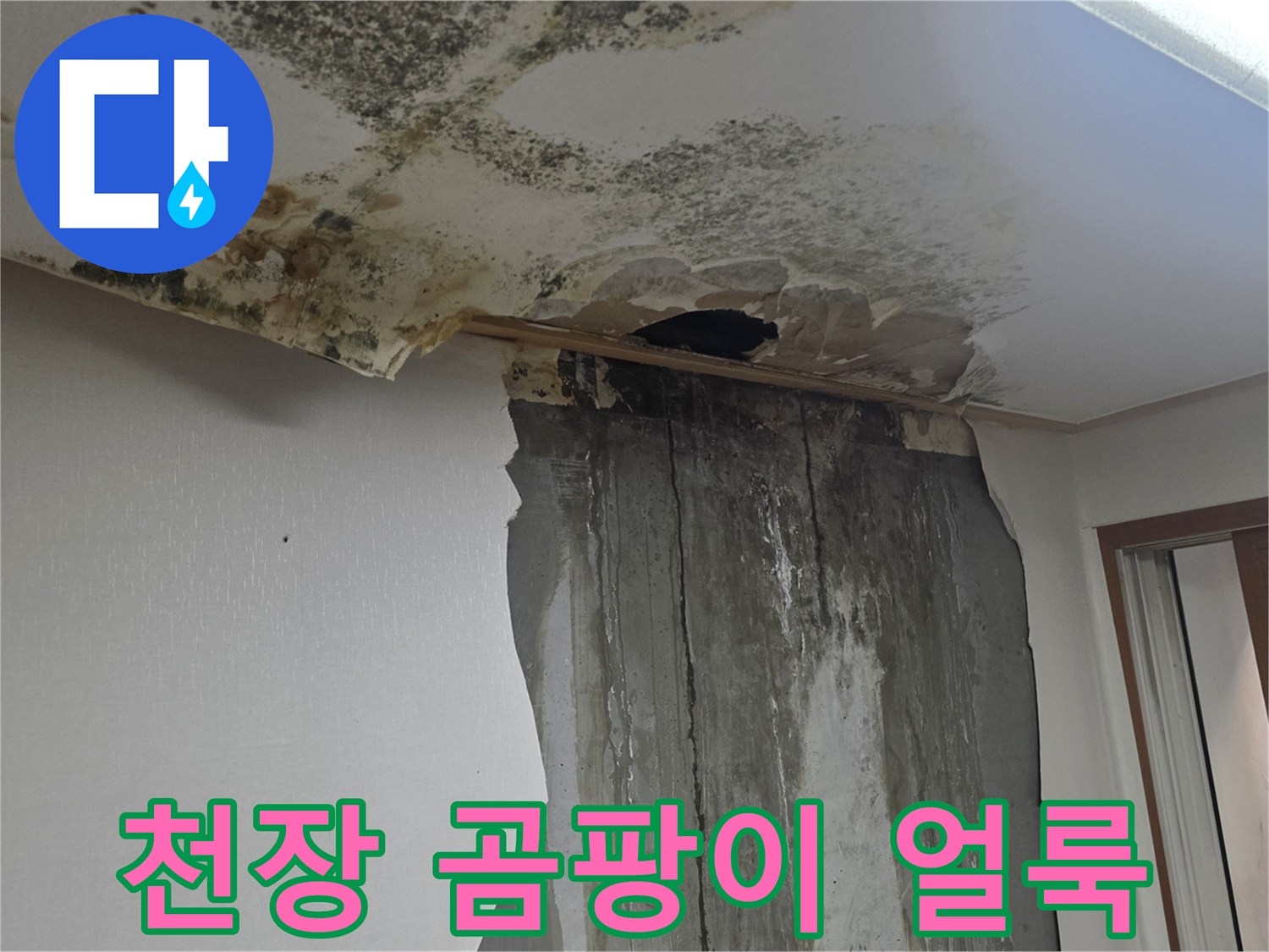 물에-젖은-천장-벽지-와-곰팡이-상태