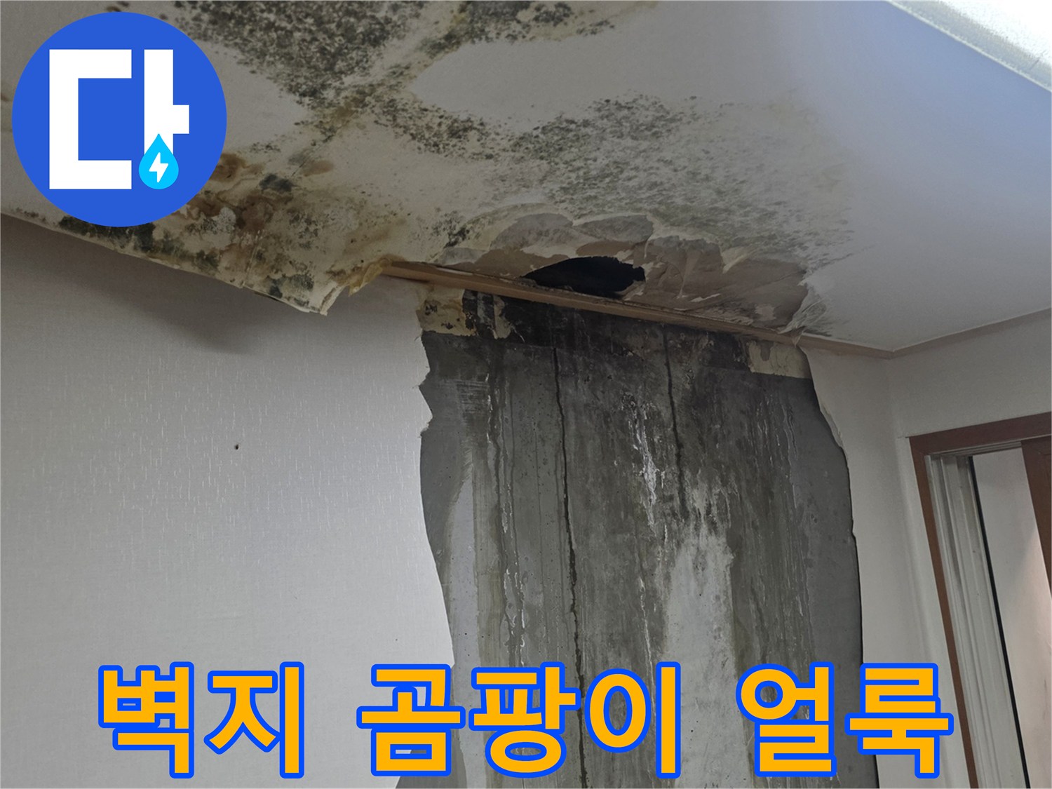 천장-벽면의-심한-곰팡이-및-물자국