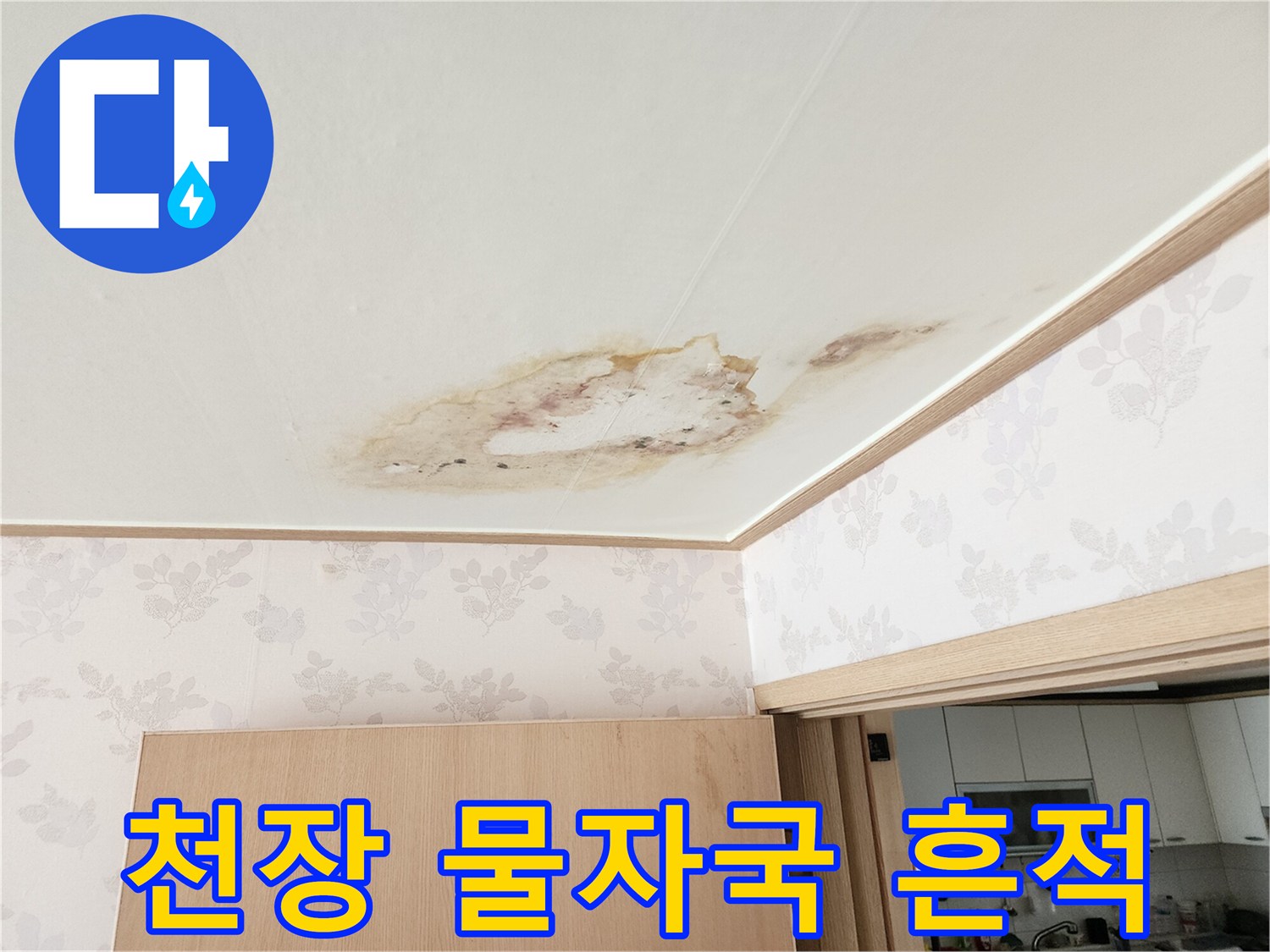 아래층 거실 천장의 누수 침투 흔적과 넓게 퍼진 얼룩