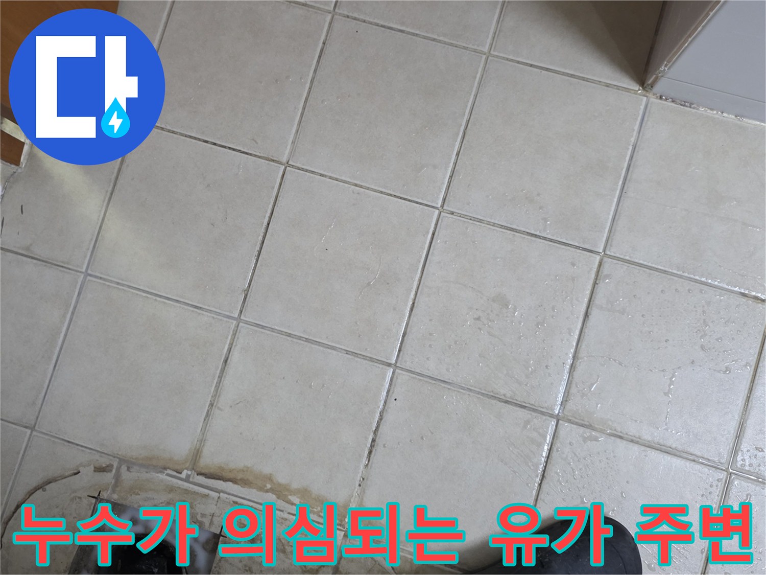 배수구 주변 타일 틈새의 오염된 모습