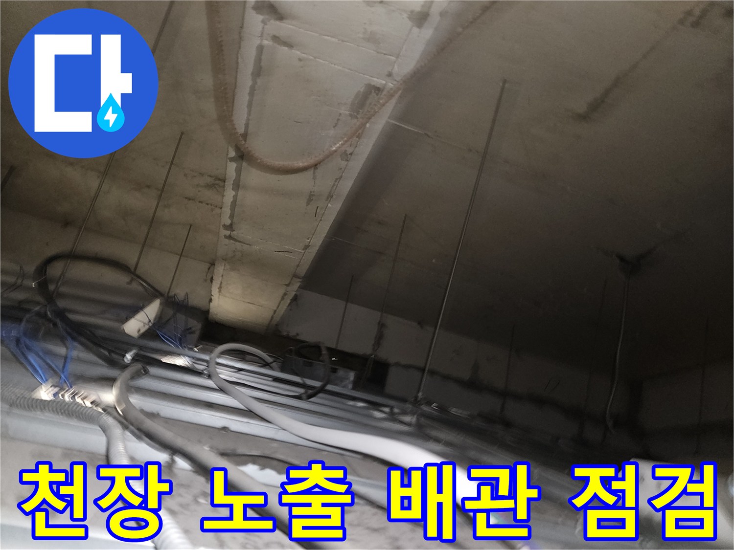 신정동-사무실-천장-배관-누수-확인