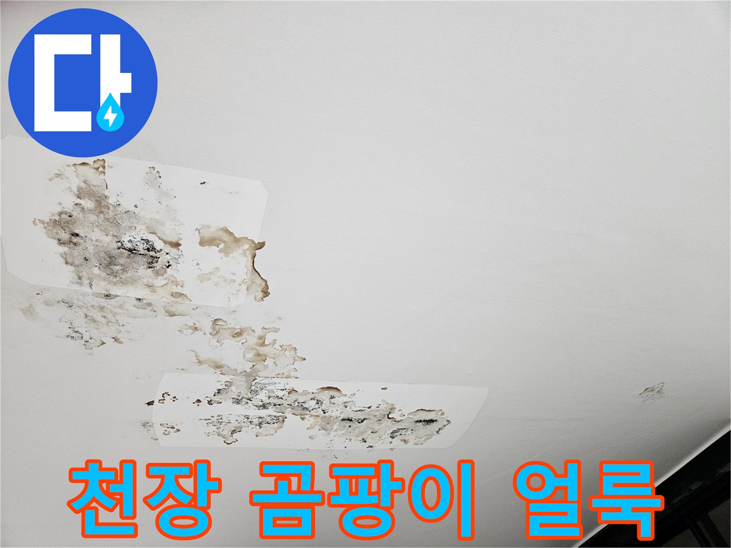 오염된 천장-곰팡이가 넓게 분포된 마감재 표면