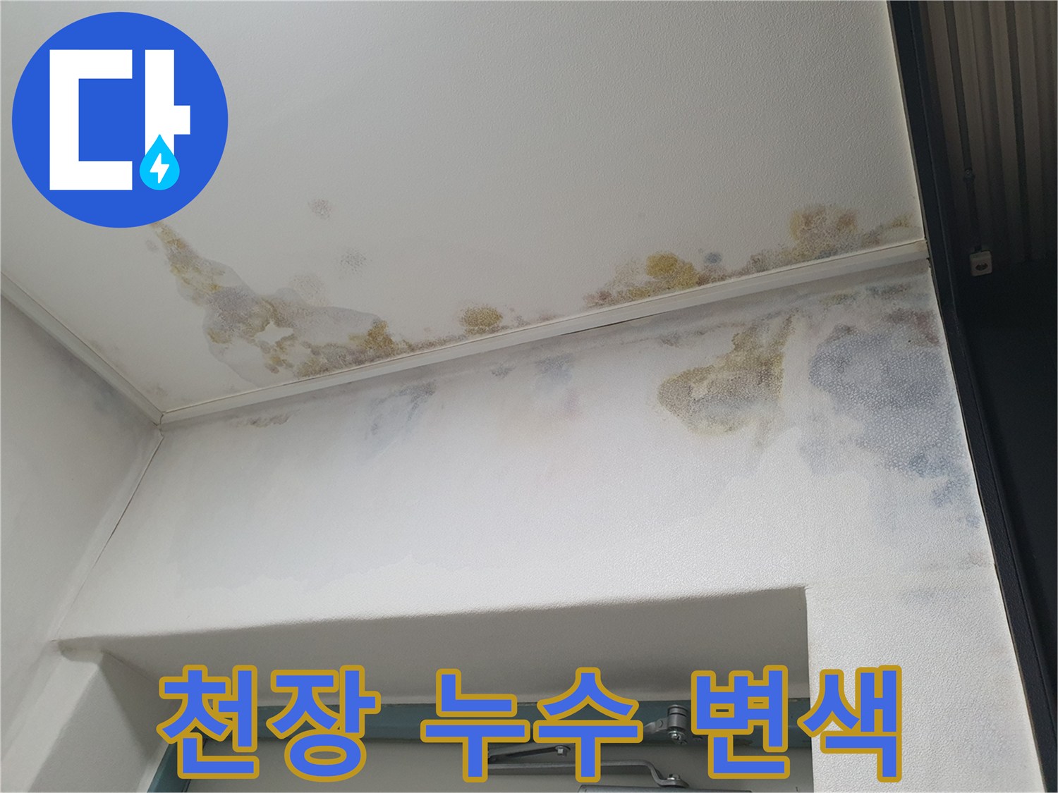 천장-가장자리를-따라-번진-물자국-및-변색