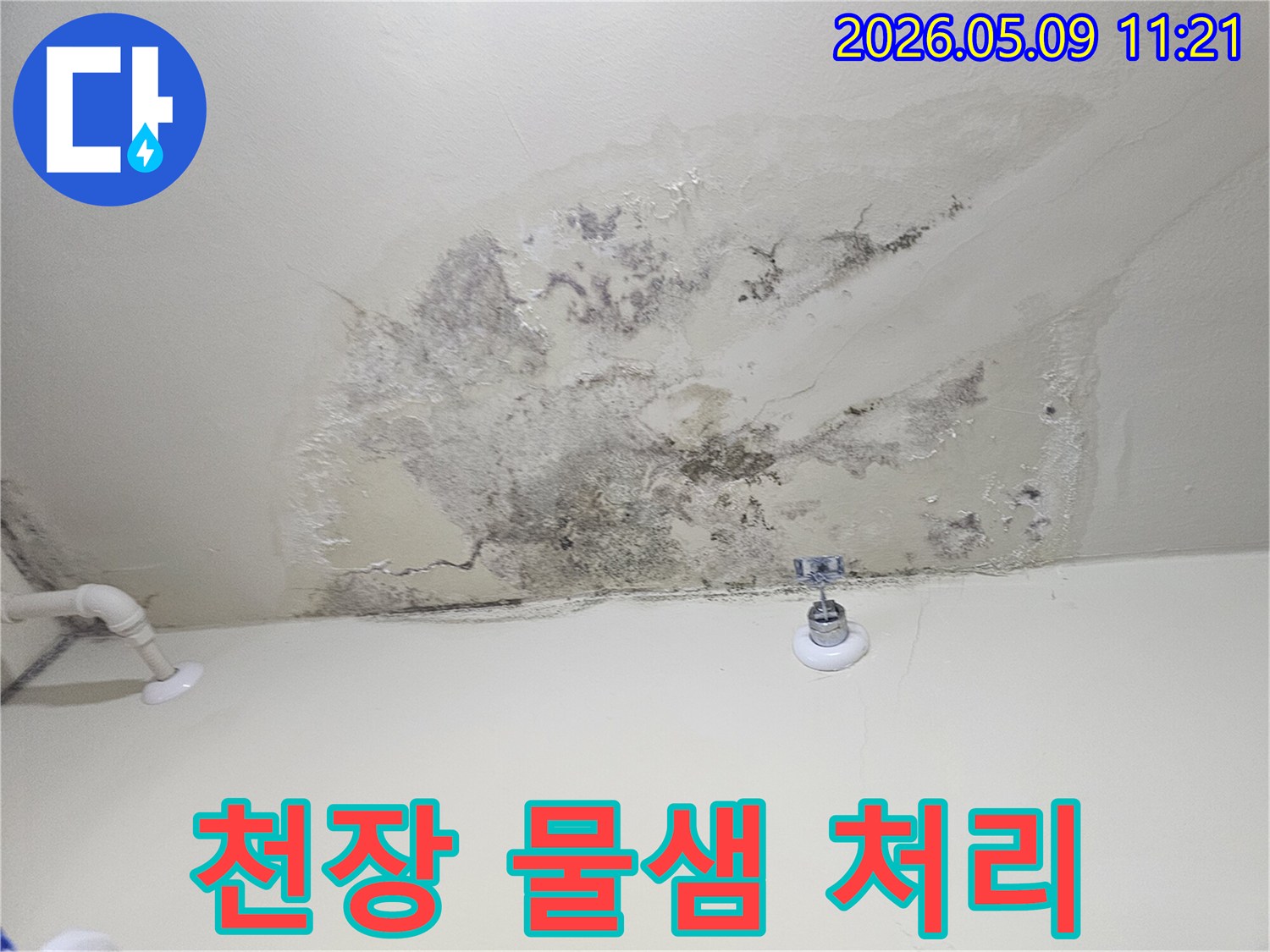 물이 새어 천장에 얼룩과 곰팡이가 생긴-심각한 누수 현장