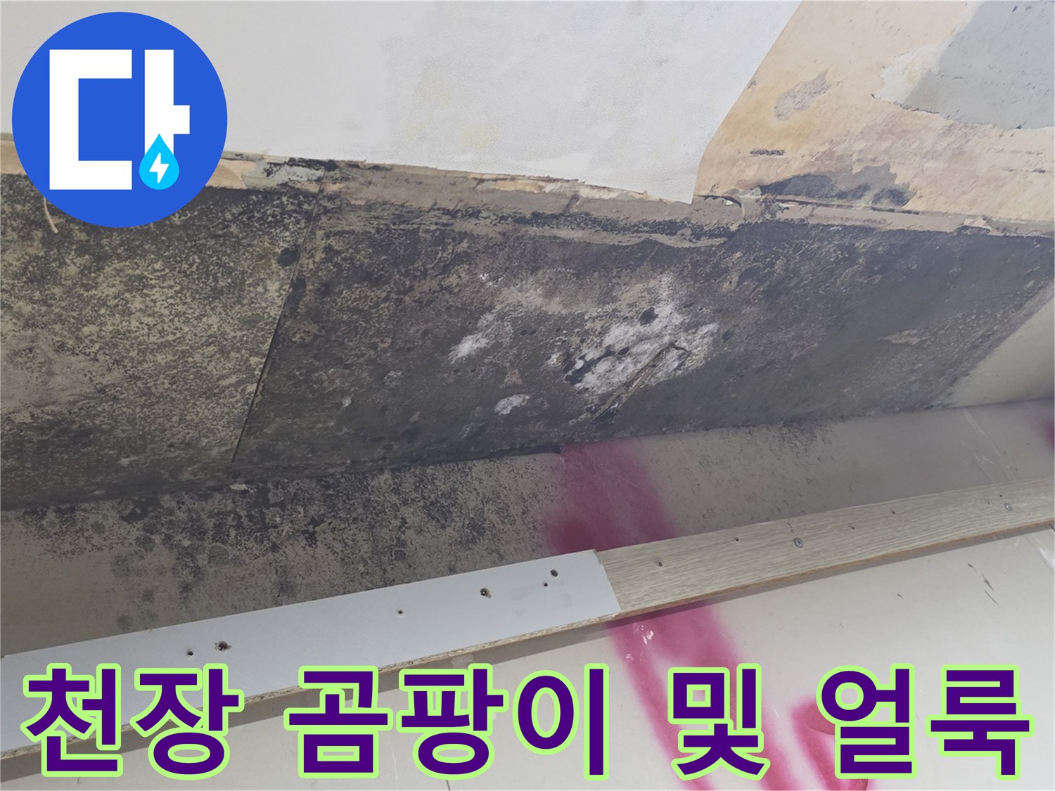 오염된 천장 마감재-곰팡이가 심한 주방 천장