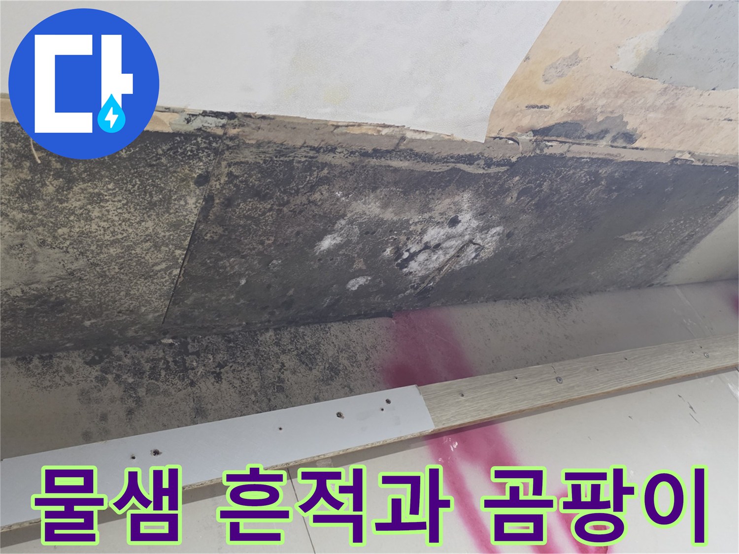 천장 마감재-습기로 인한 검은 곰팡이 오염 부위