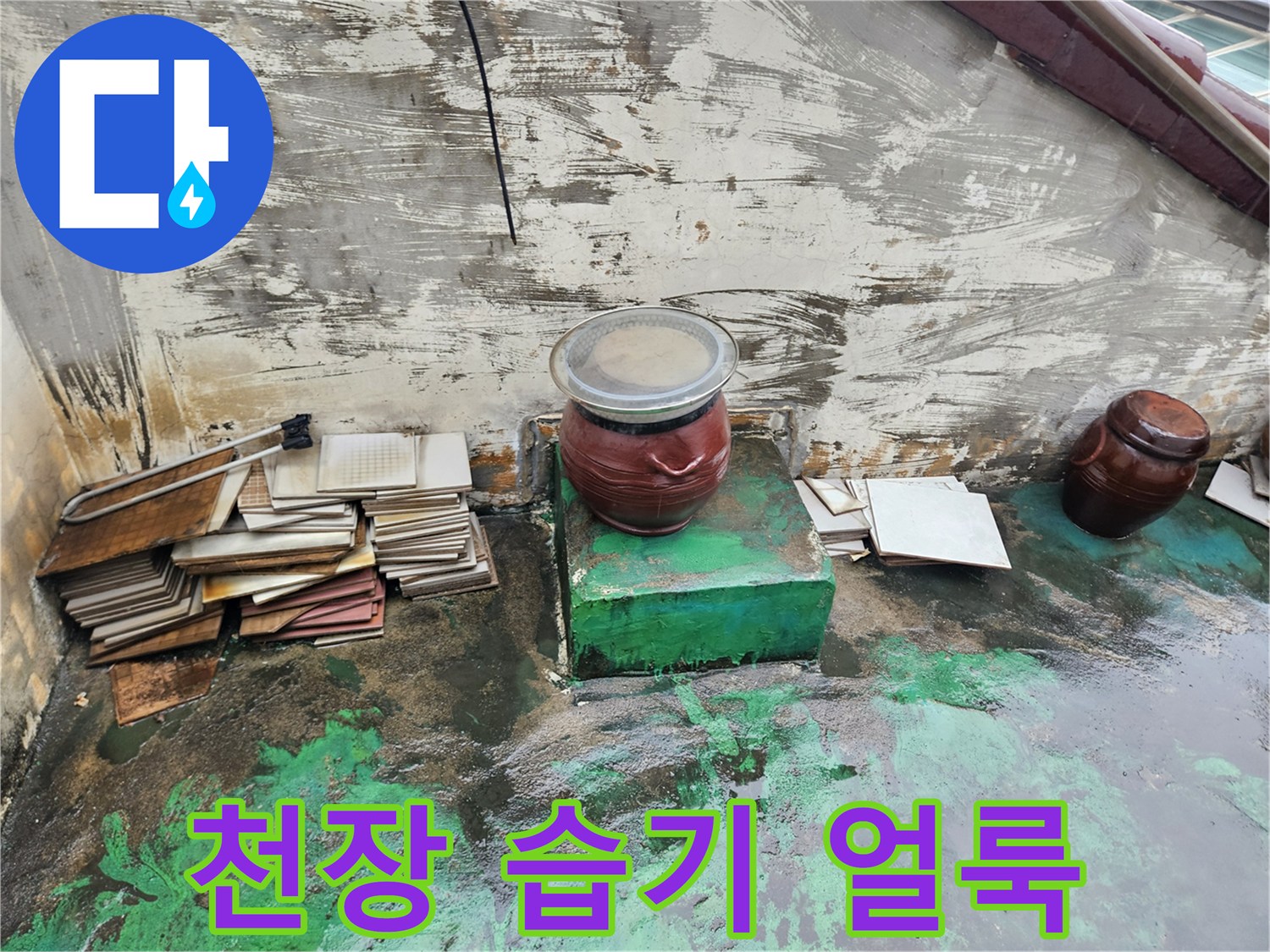 물에 젖어 변색된 녹색 천장 마감재