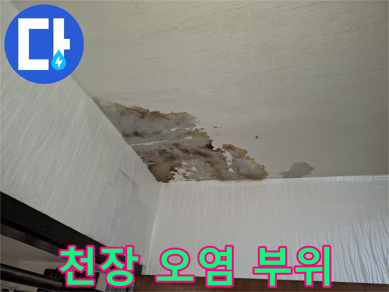 갈색-얼룩이-번진-거실-천장-벽면