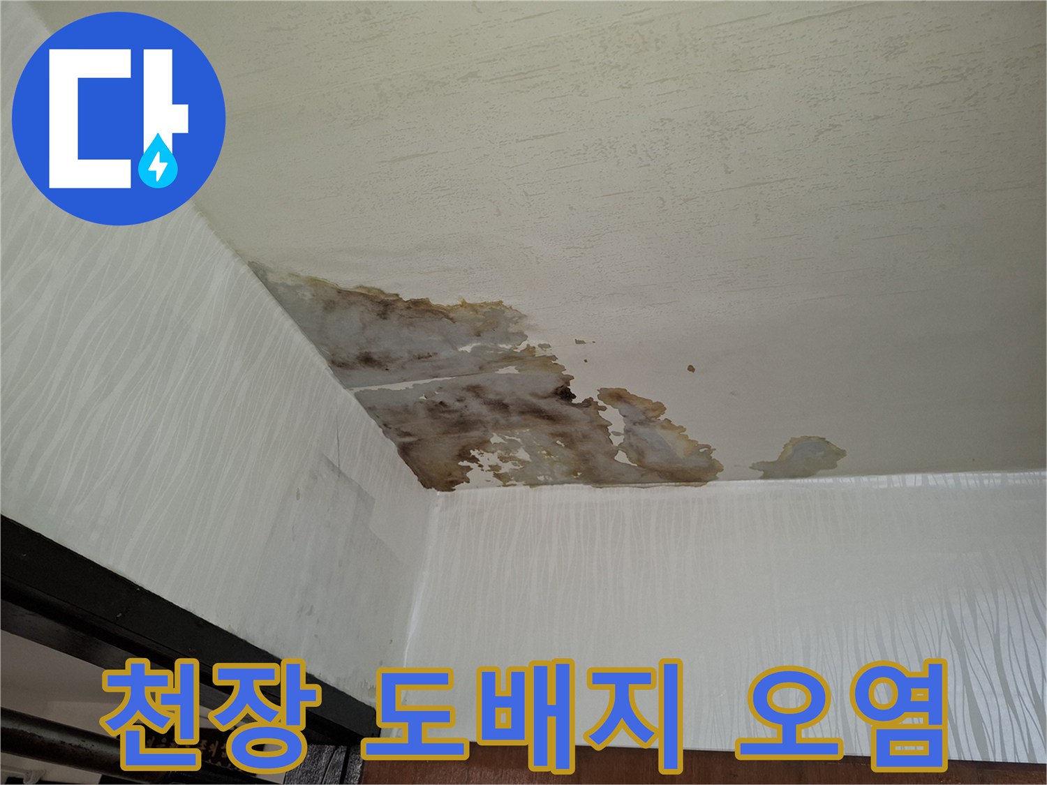 물에 젖어 변색된 천장 도배지