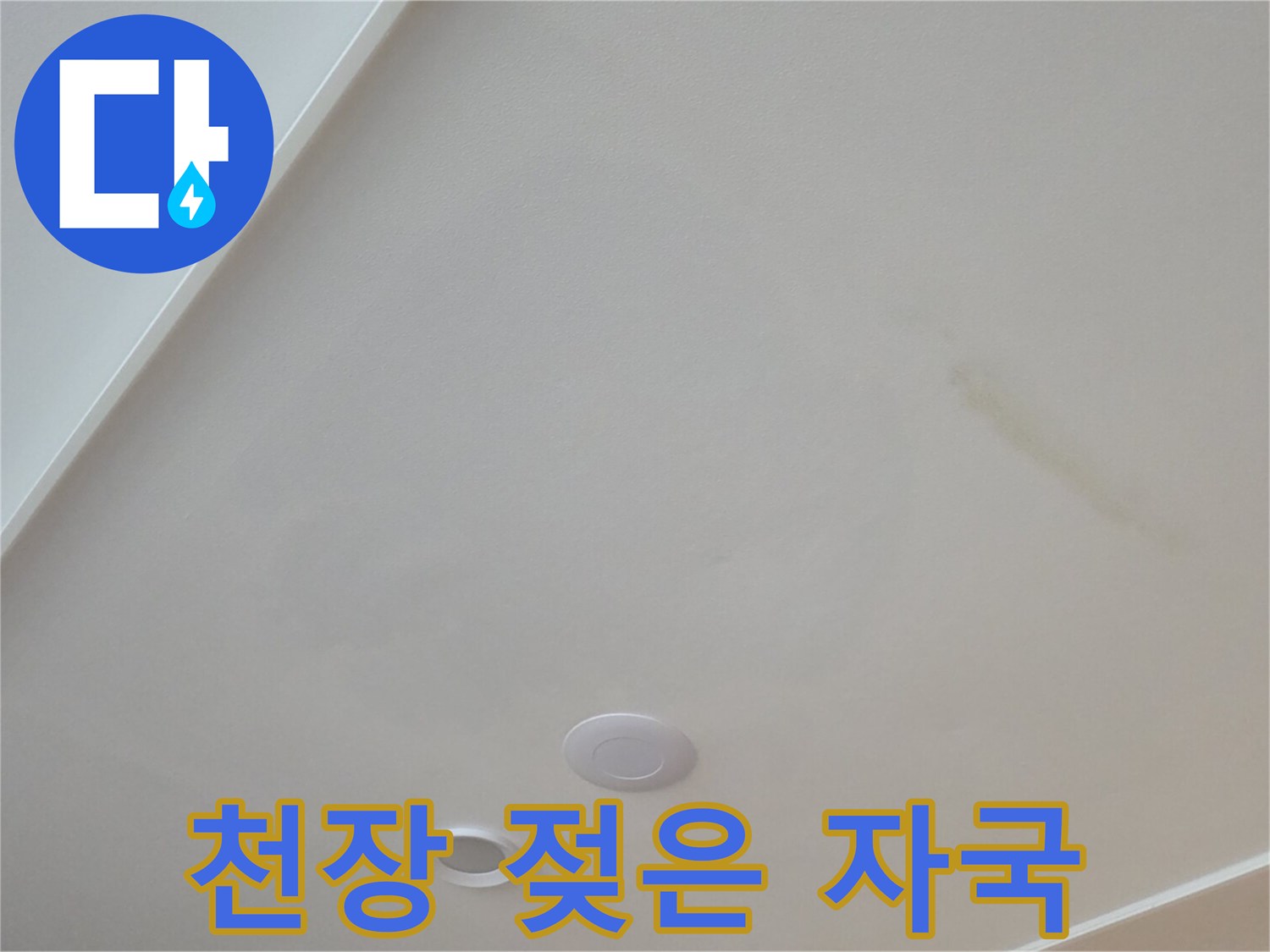물샘으로 인해 젖어 있는 천장 표면