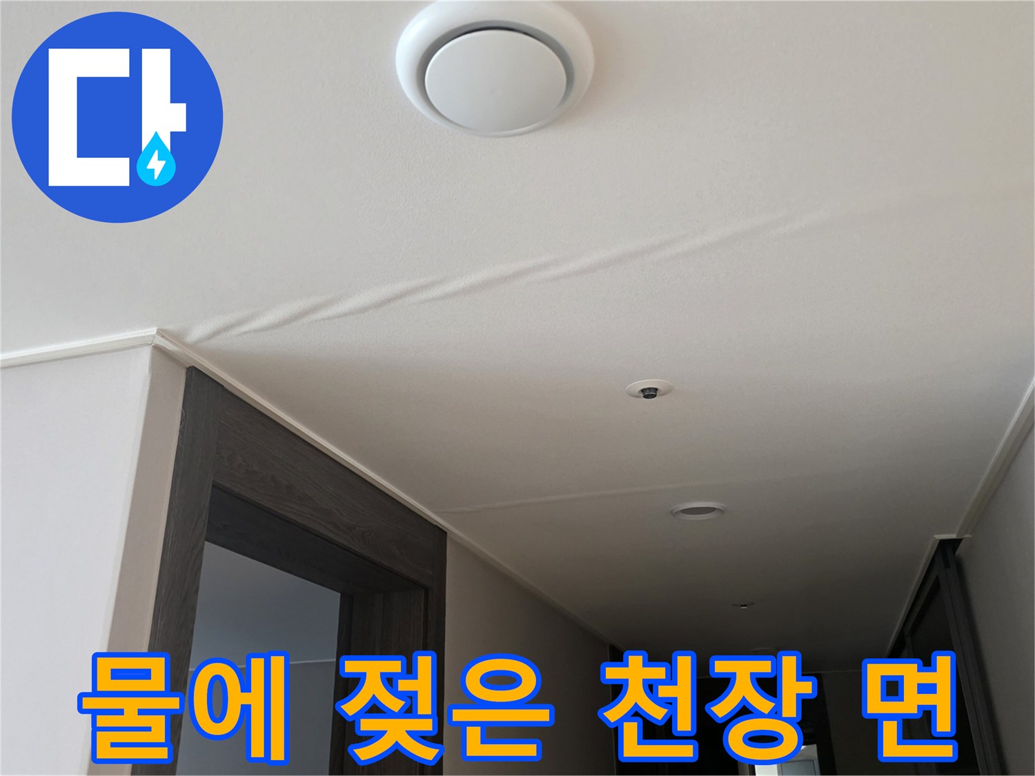 습기로 인해 변색된 천장 부위 - 누수 진단 작업 중 촬영