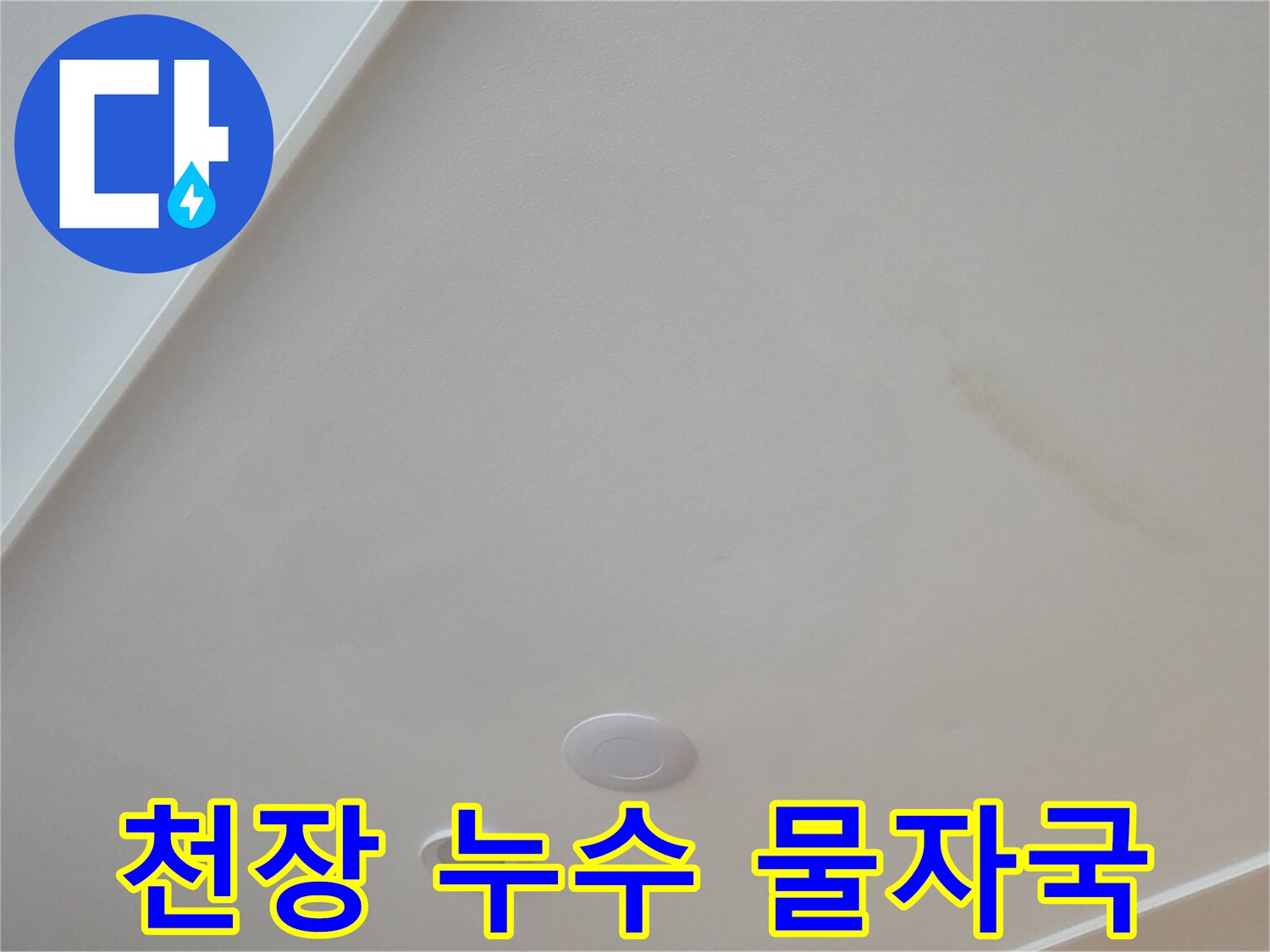 아랫집 천장에 발생한 누수 변색 부위 - 현장 점검