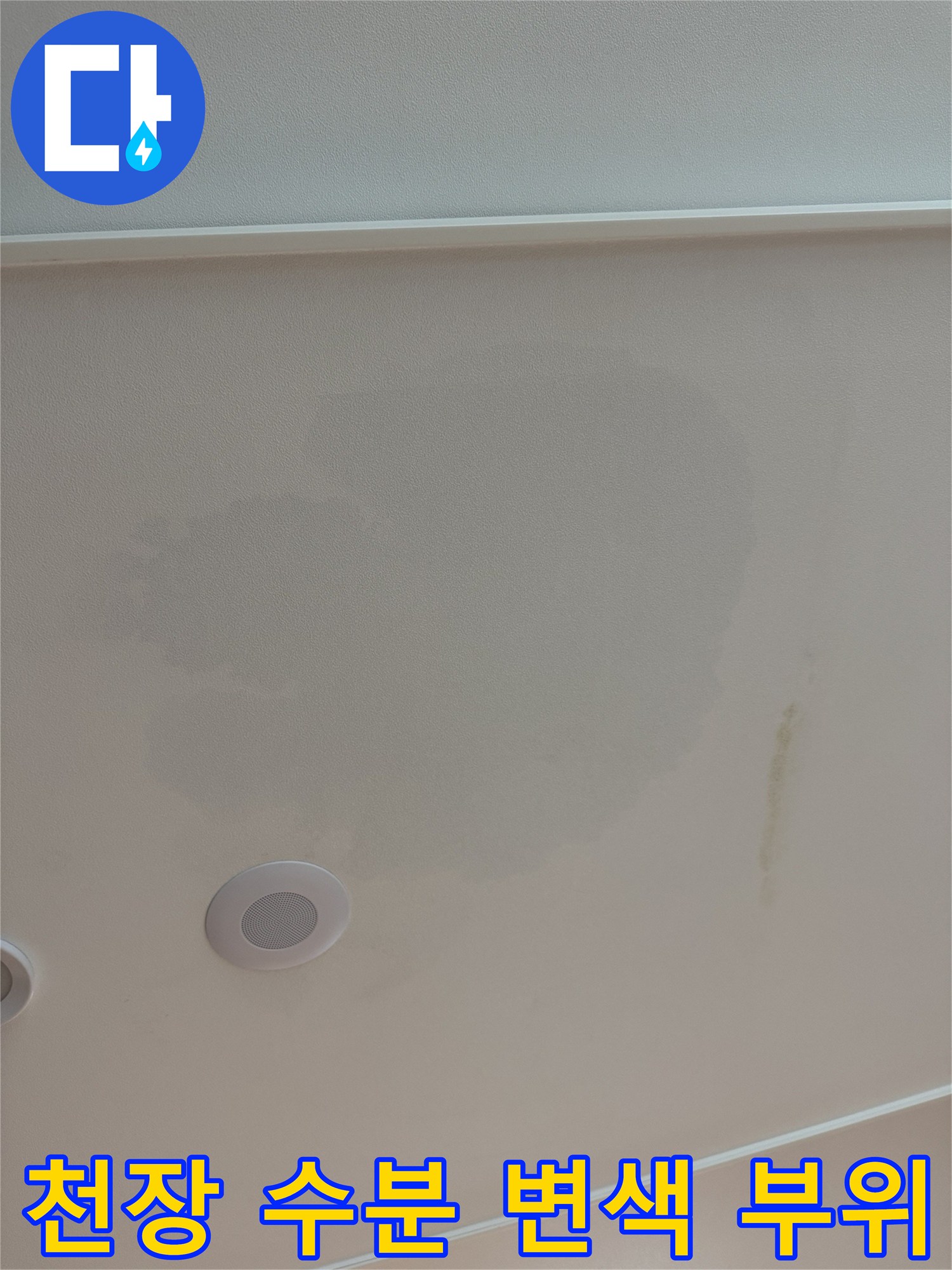 천장 마감재에 발생한 광범위한 습기 자국