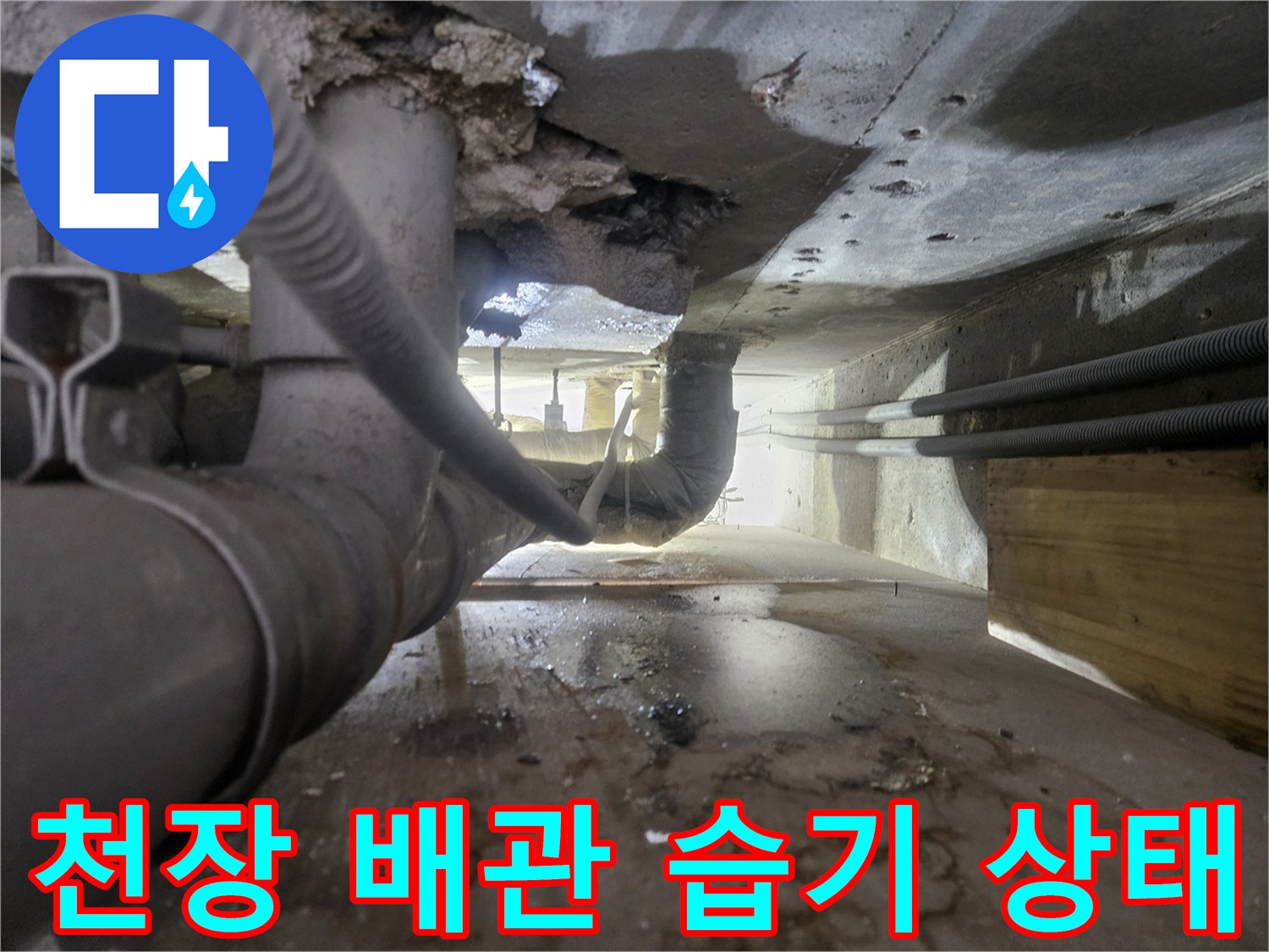 보일러-배관-주변-습윤한-상태