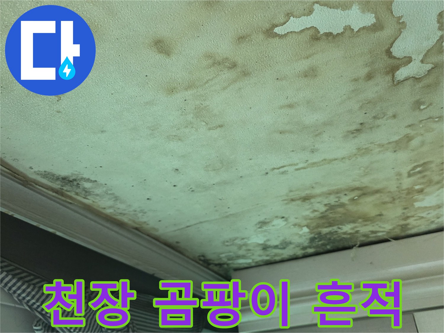 물샘 현상으로 인해 오염된 천장 내부 벽지 상태